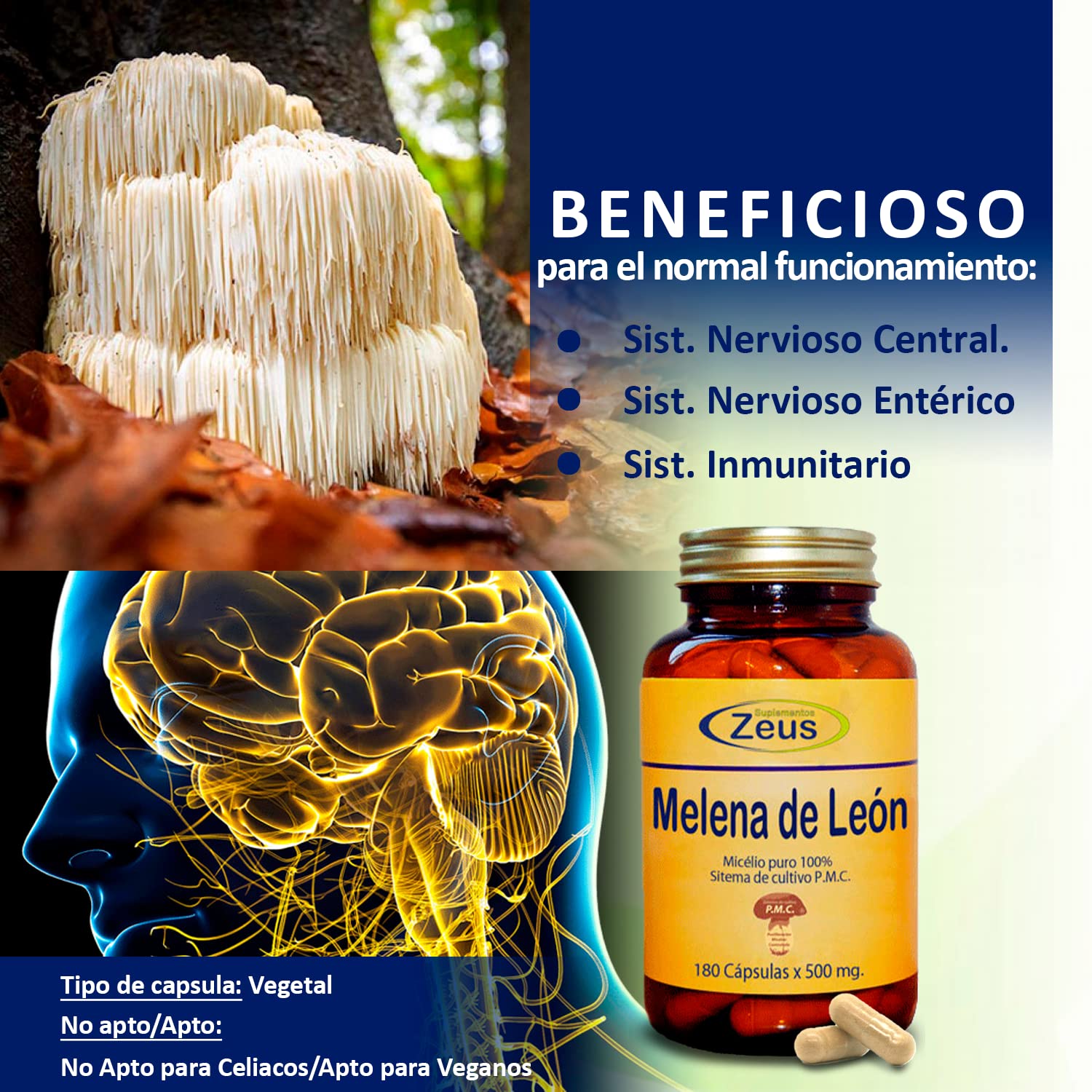 Suplementos Zeus MELENA DE LEÓN Contribuye al funcionamiento normal del sistema nervioso e inmunitario Complemento Alimenticio a base de Melena de León y Vit.C,100% Vegano,180 Caps. Vegetales
