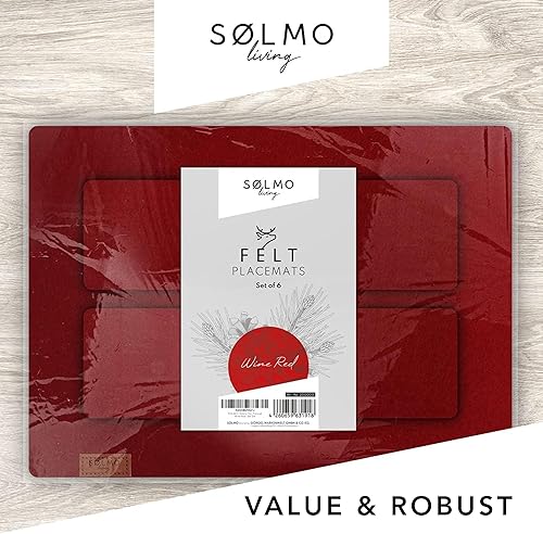 Miniatura 4 de Sølmo - Juego de 6 manteles individuales de fieltro de alta calidad, lavables, 16.5 x 12.6 in, lavables, posavasos de fieltro, posavasos y posavasos
