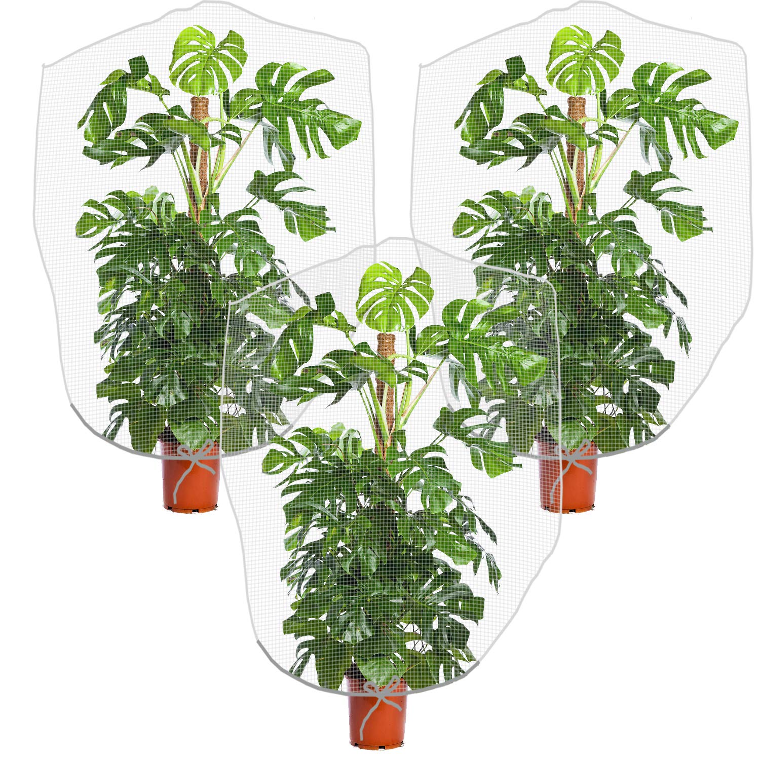 PURPLE STAR 1N Insect Bird Barrier Netting Mesh with Drawstring - Garden Bug Netting Plant Cover for Protect Plant Fruits Flower from Insect Bird Eating (39 x 59 inch-3pcs)