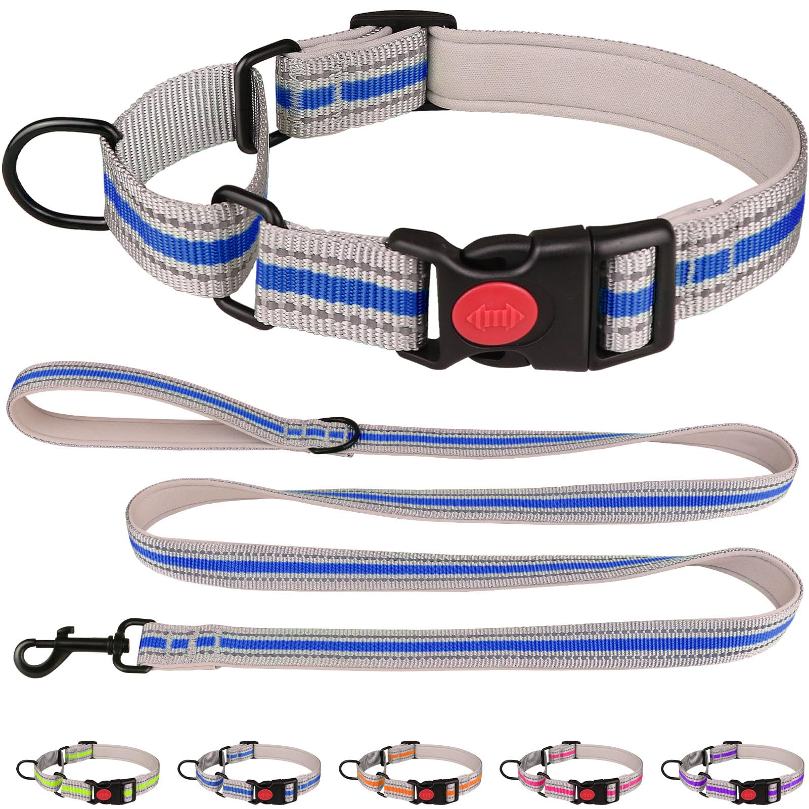 Martingale Collar for Dogs,Soft Neoprene Padded Reflective Martingale Collar and Leash Set Safety Buckle Nylon Martingale Dog Collar for Medium Dogs(