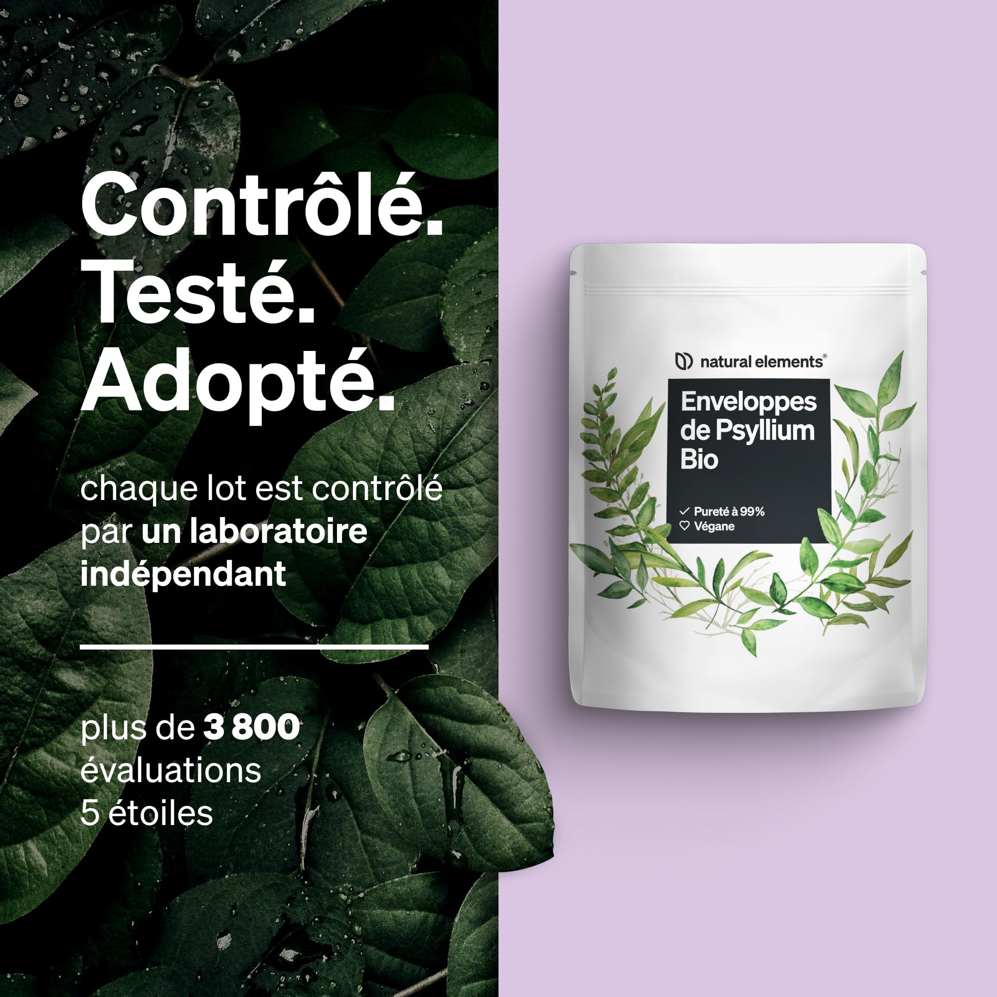 Tégument de Psyllium Bio – sachet de 500 g – pureté à 99%, certifié bio, végane – low-carb, riche en fibres, sans gluten – sans additifs inutiles, qualité testée en laboratoire