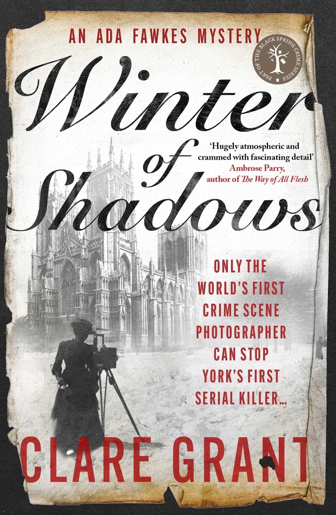Winter of Shadows by Clare Grant - 9781915406910
