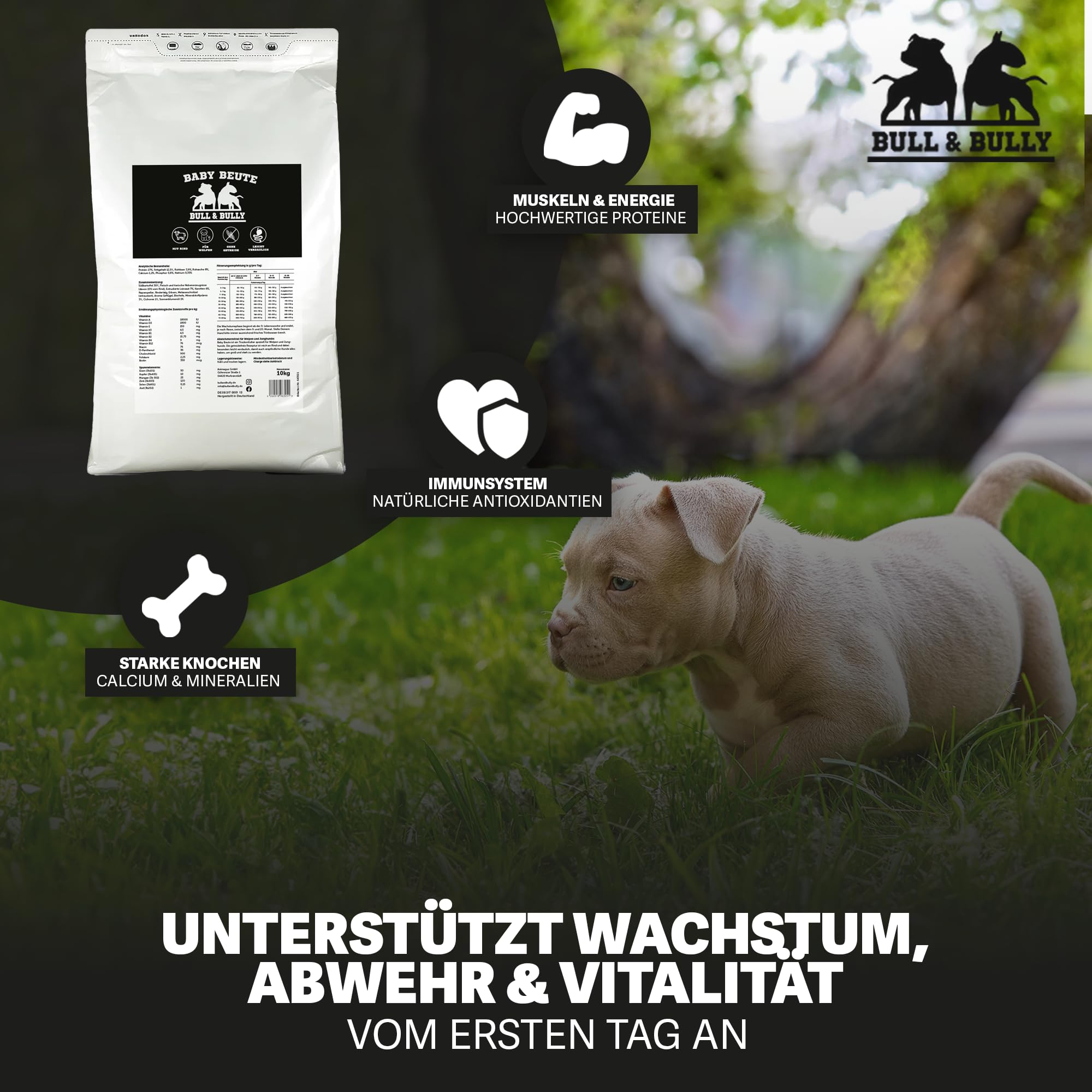 Hundefutter Baby Beute Hundefutter Trocken – Trockenfutter für Hunde 10Kg | Tierärztlich entwickeltes Hundetrockenfutter Premium Dog Food mit Beef Protein – Energiereiches Hundefutter von BULL & BULLY