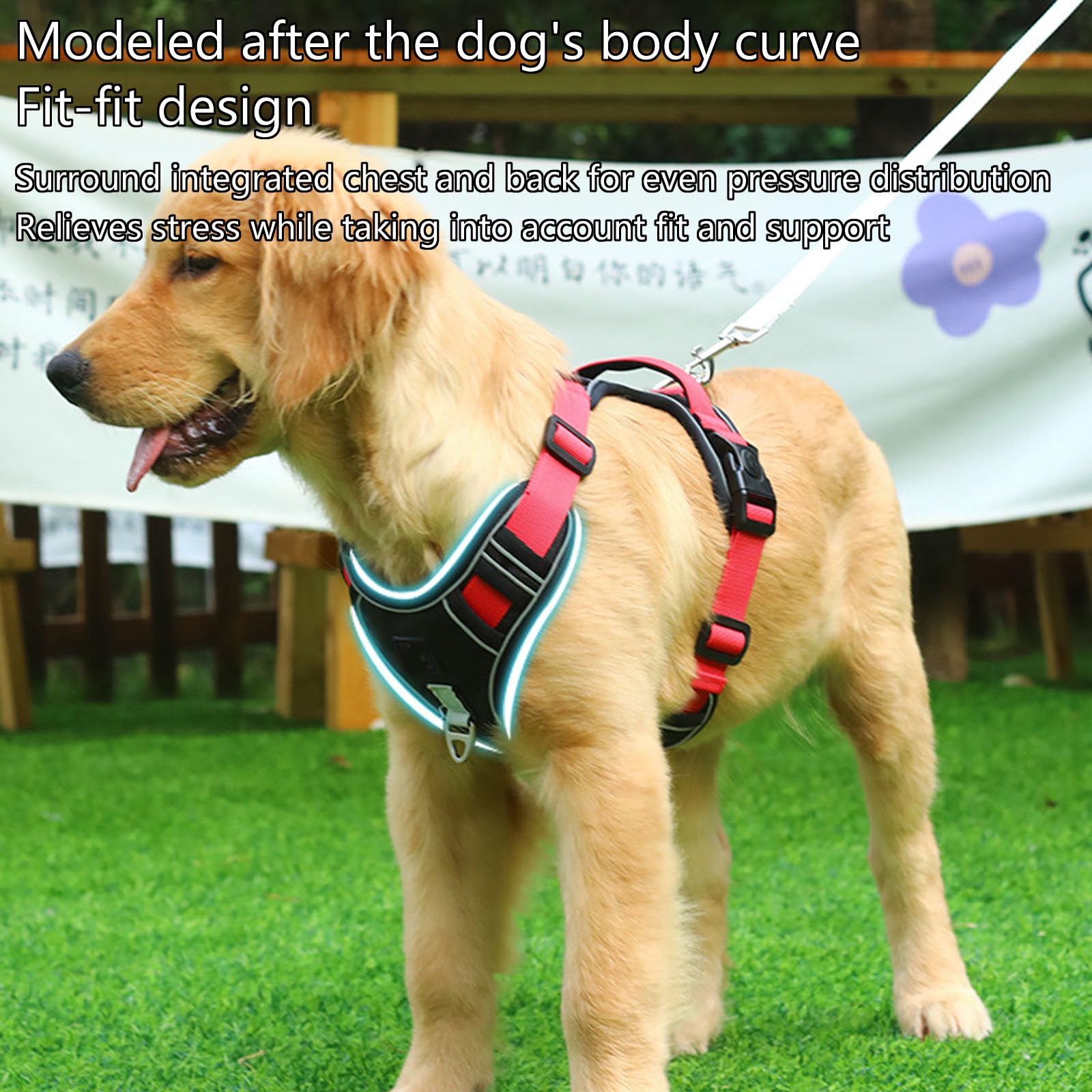 Arnés para Perros Pequeños, Medianos Y Grandes, Antitirones, con Tiras Reflectantes Y Asa De Control, Ajustable Y Cómodo para Pasear Y Entrenar,Púrpura,XL