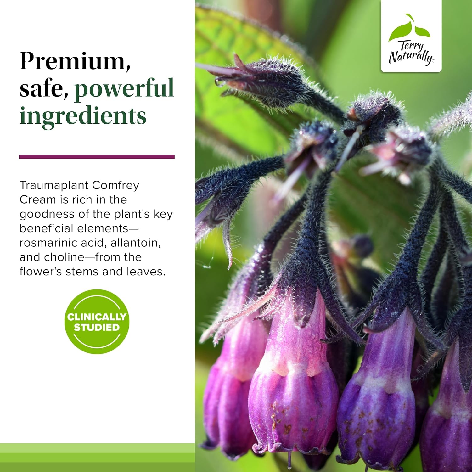 Terry Naturally Traumaplant Comfrey Cream - Non-Staining Herbal Cream - Clinically Studied and Free of Pyrrolizidine Alkaloids - for External Use Only - 1.76 oz - Image 5