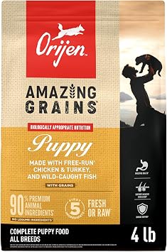 ORIJEN Amazing Grains High Protein Dry Dog Food Puppy Recipe 4lb Bag