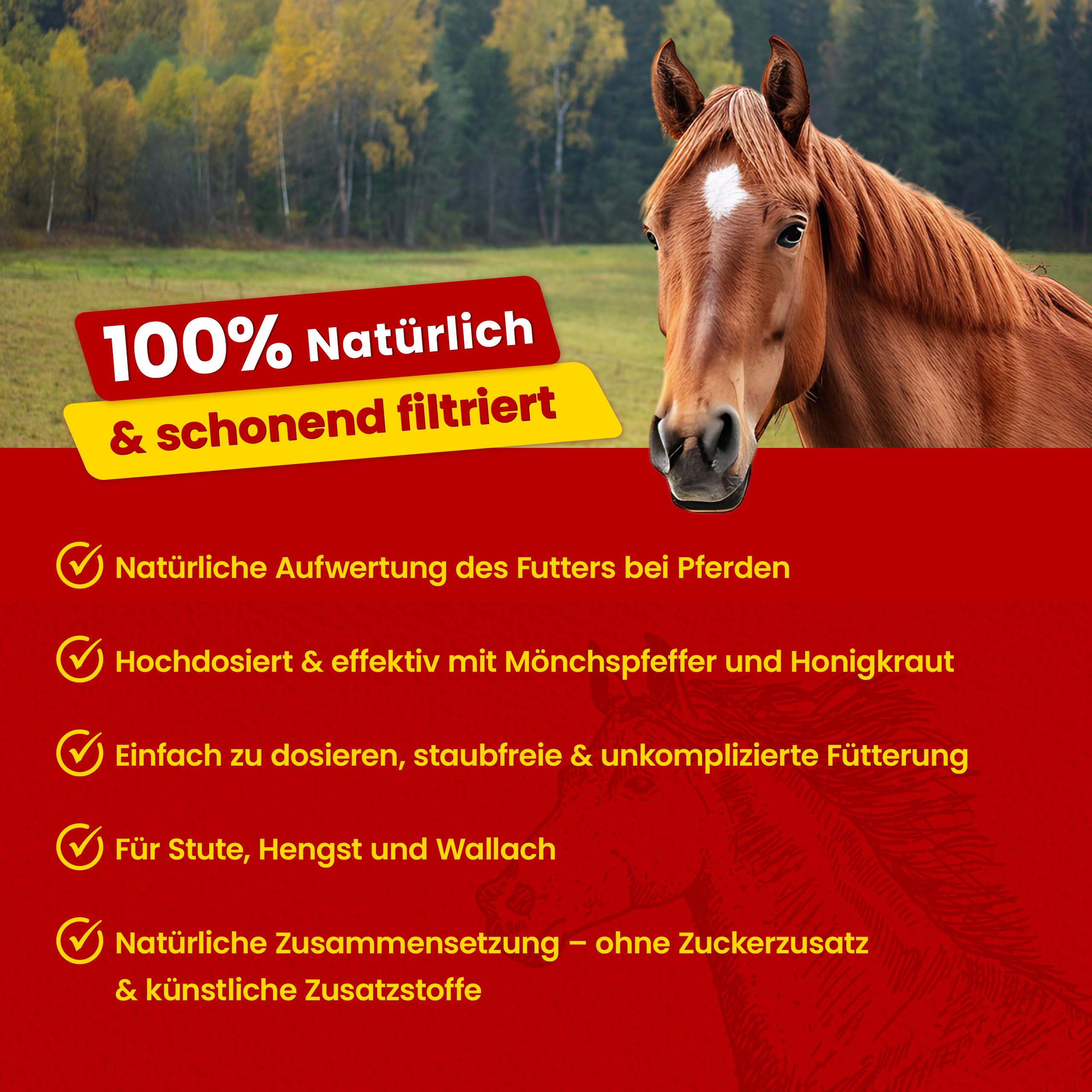 Scheidler horse-direkt Mönchspfeffer Liquid für Pferde 2500ml Hochdosiert – 100% Natürliches Ergänzungsfuttermittel für Pferde – Premium Sud aus Mönchspfeffer - Qualität aus Deutschland