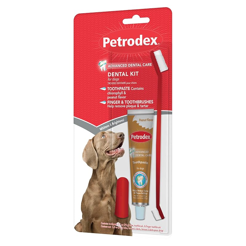 Kit de cuidados dentais para cães Petrodex com pasta sabor amendoim e escovas, 70 g