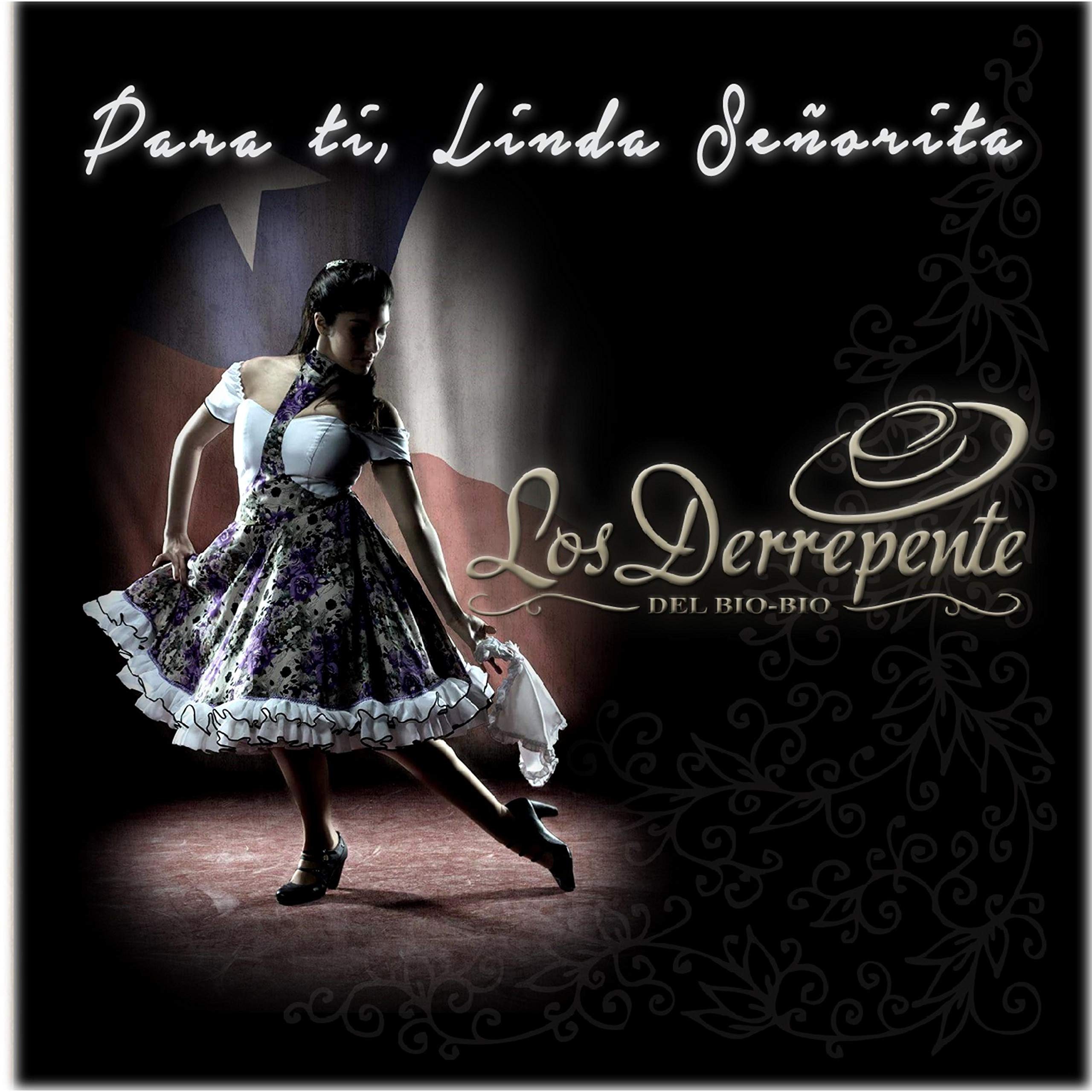 Los Derrepentes Del Bio Bio