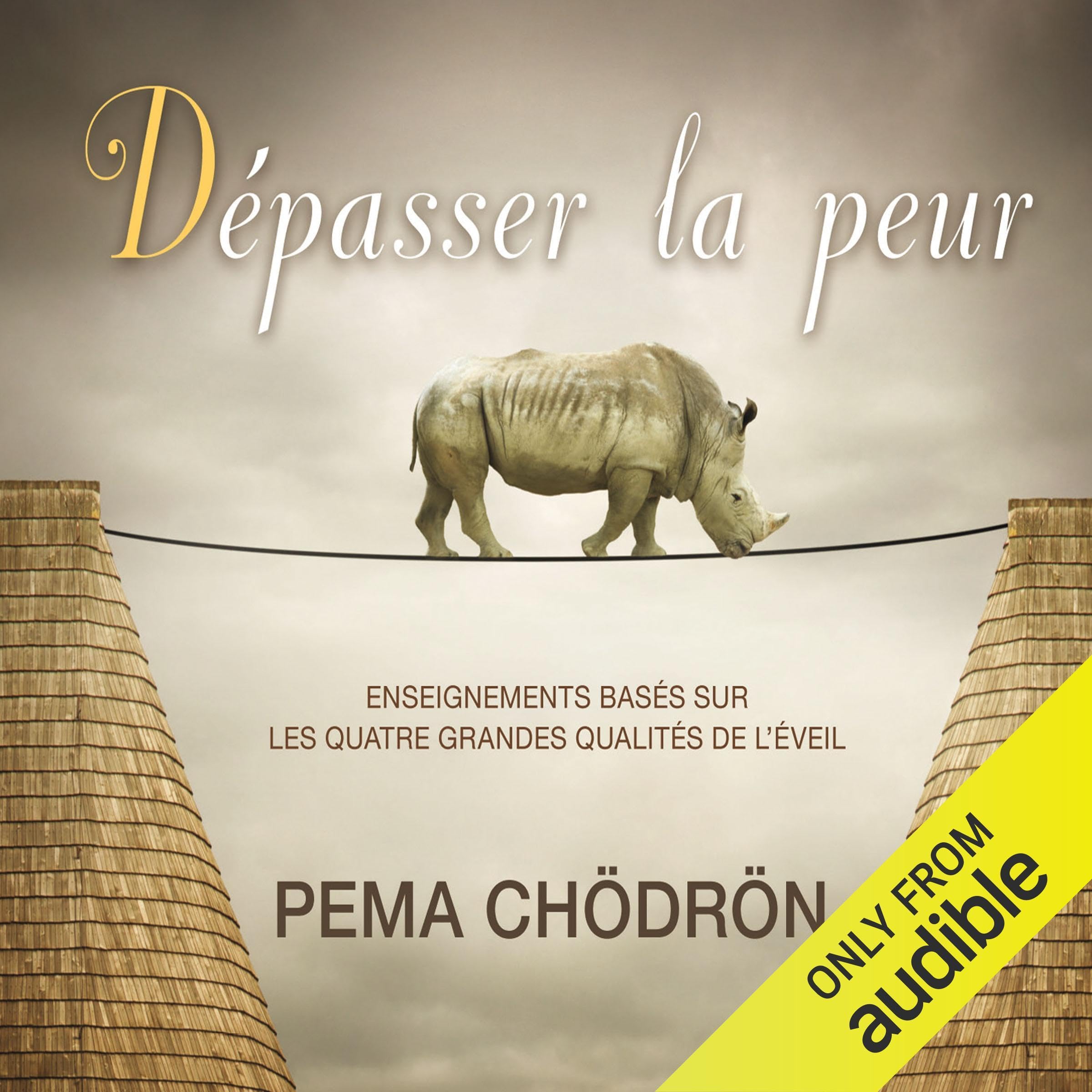 CD - Dépasser par la peur [Audio CD] Chödrön, Pema