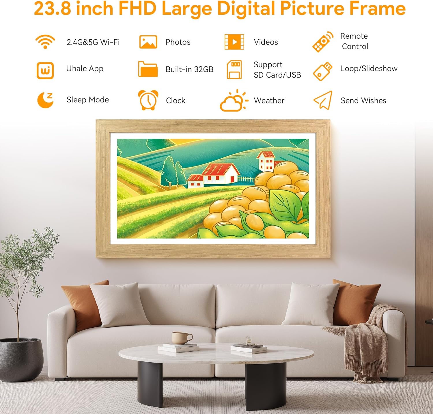 https://m.media-amazon.com/images/I/81eoxrTFF1L._AC_SL1500_.jpg