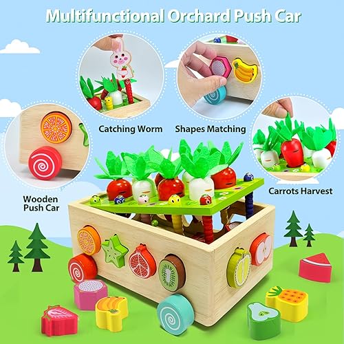 Miniatura 2 de Juguetes Montessori para niños pequeños de 1 año en adelante, juguetes clasificadores de formas para niños de 1 a 3 años, juguetes para niños de 1,