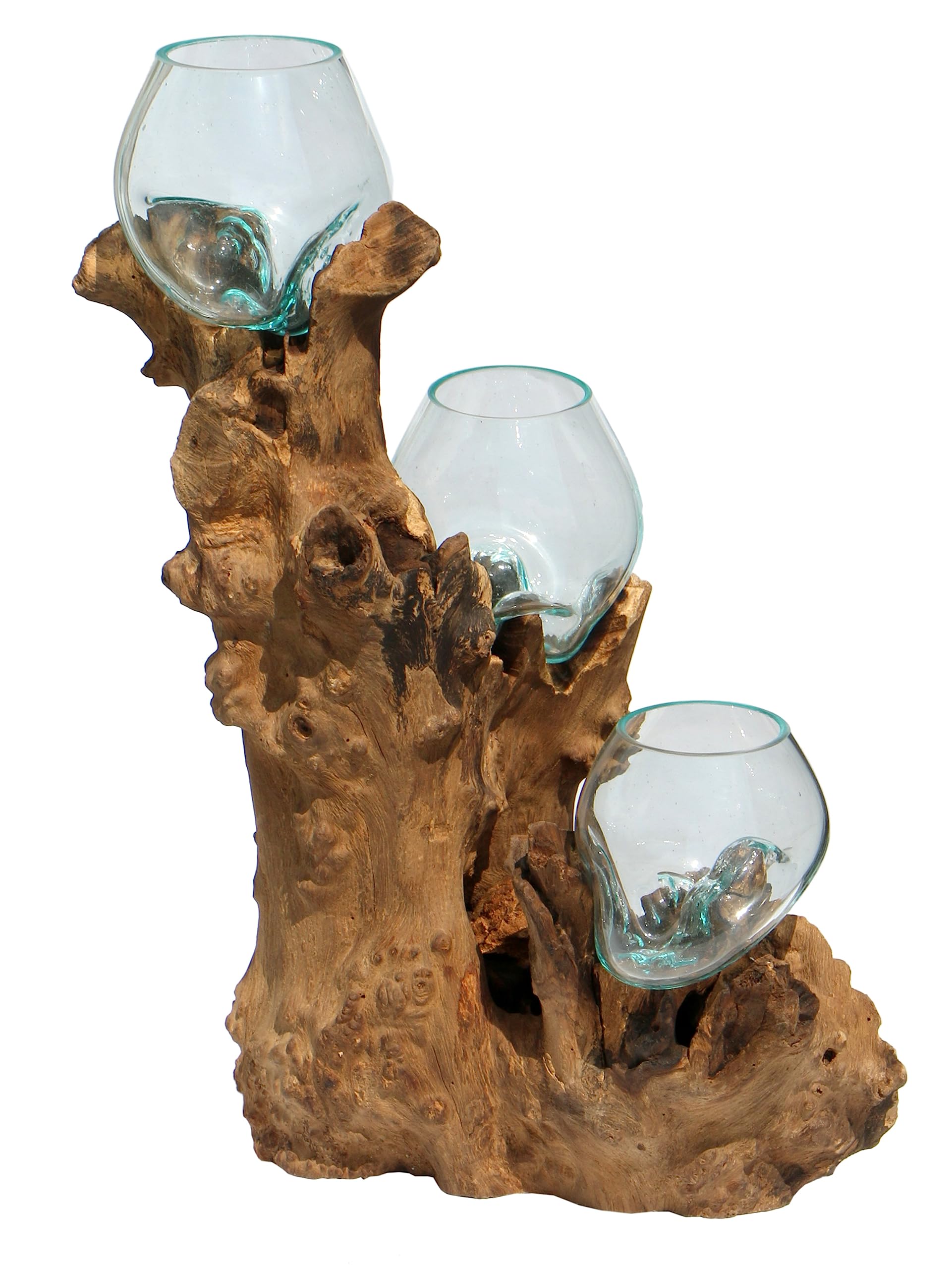 3er Glas-Vase auf Wurzel-Holz Gamal - im modernen Style aus Holz als Geschenk-Idee zu Weihnachten Geburtstag Dekoration (TRIO10 (Ø Glas 10 cm))