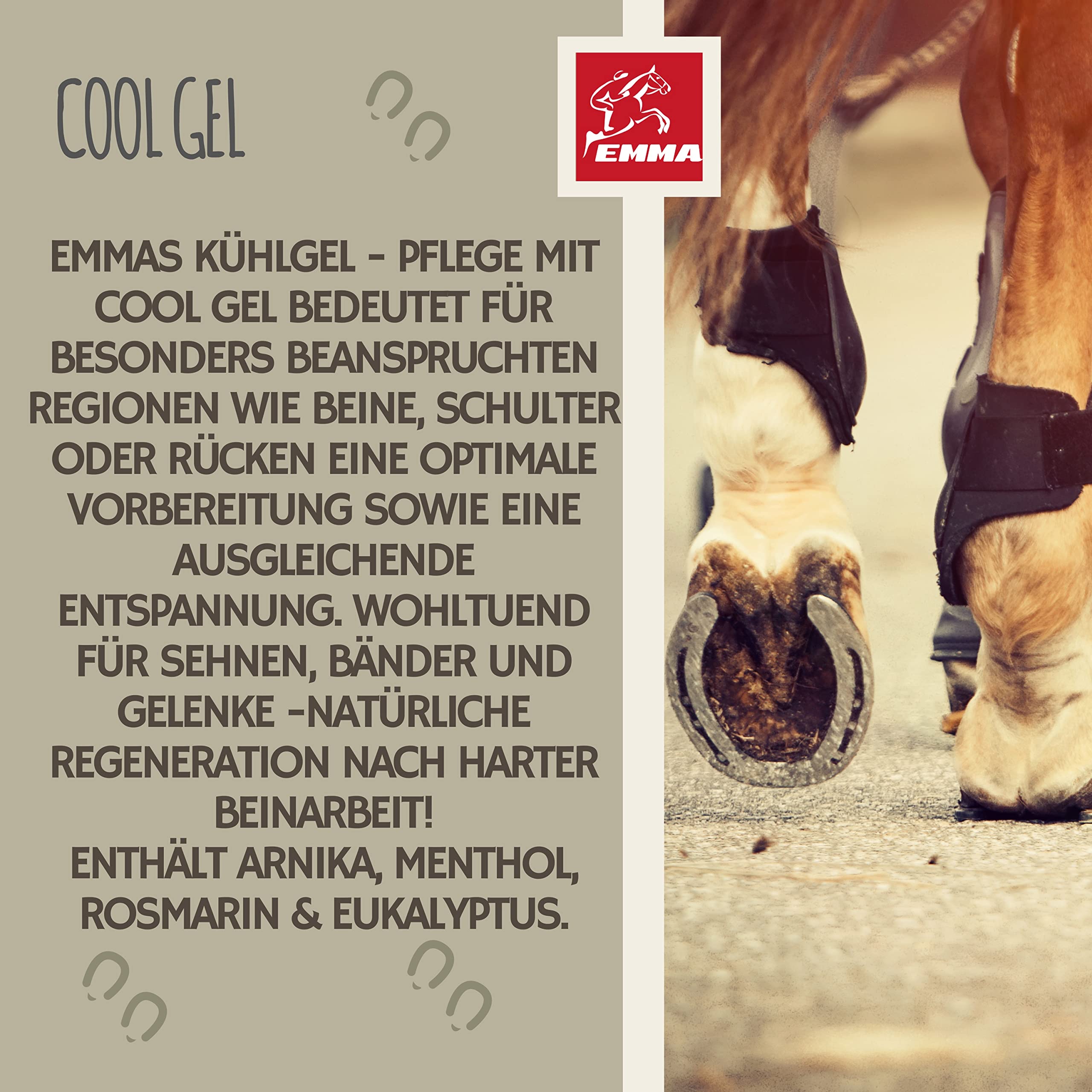 Bálsamo para Caballos 2*500ml Gel Refrescante con Pomada de Árnica Gel extra fuerte I Tendones, Ligamentos y Músculos Pomada para Caballos con Gel Crema de Árnica Masaje para Músculos Caballo, Perro