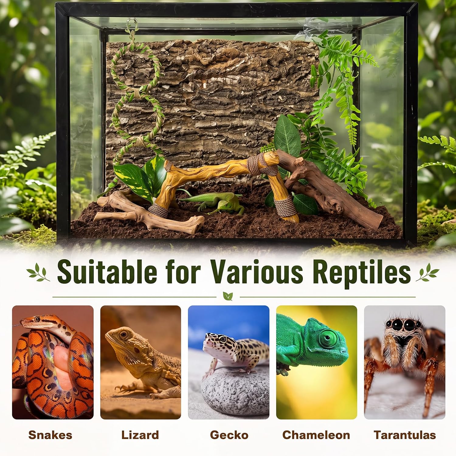 Layhit 5 Pcs Snake Climbing Branch Ring Reptile Wood Trunk Tank Decor Reptile Climbing Habitat Accessory for Terrarium Tree Trunk Ornament Gecko Frog Chameleon Spider