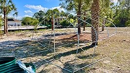 Review Image by Annie9950 Annie9950