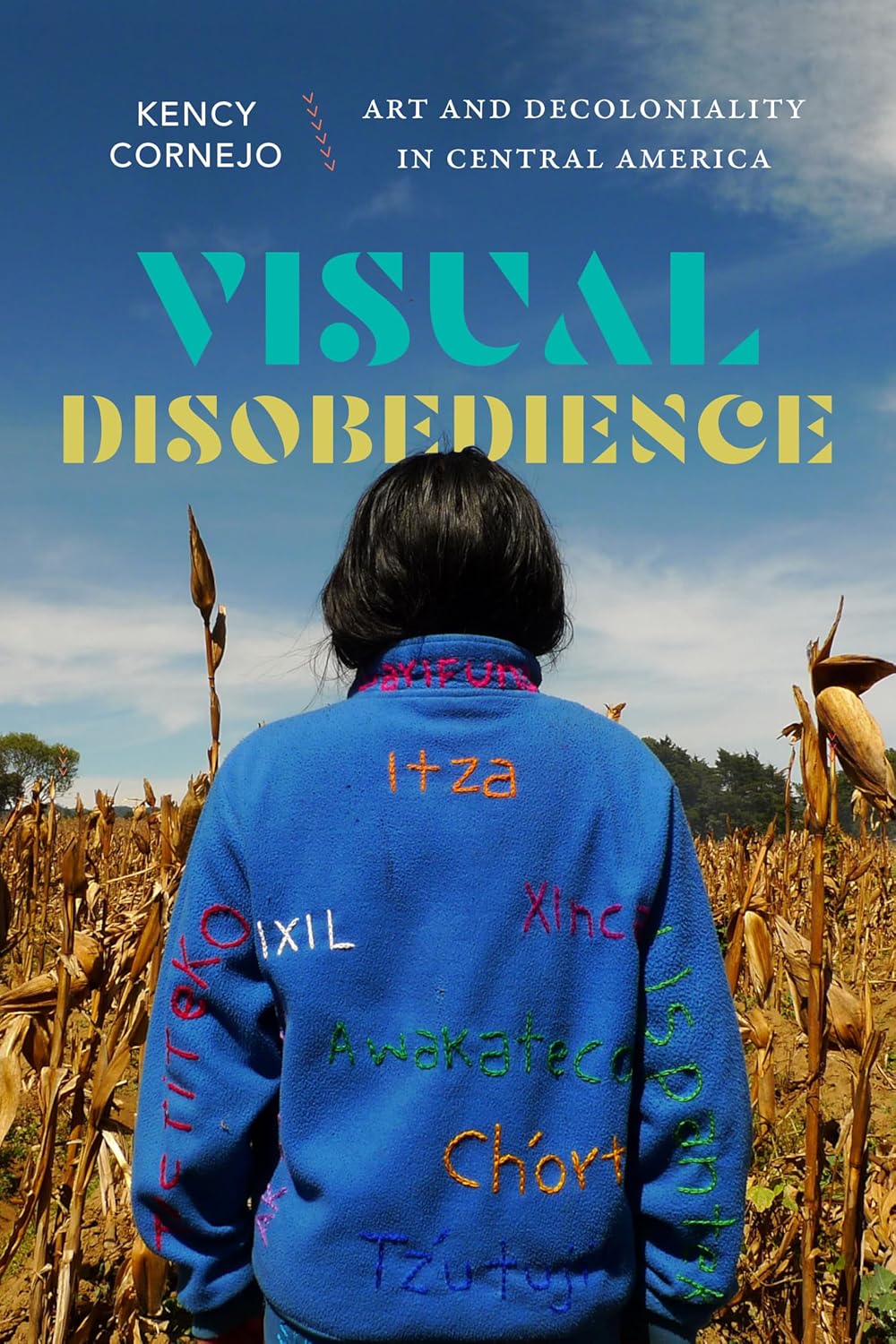 Visual Disobedience: Art and Decoloniality in Central America (Dissident Acts)      Paperback – October 18, 2024