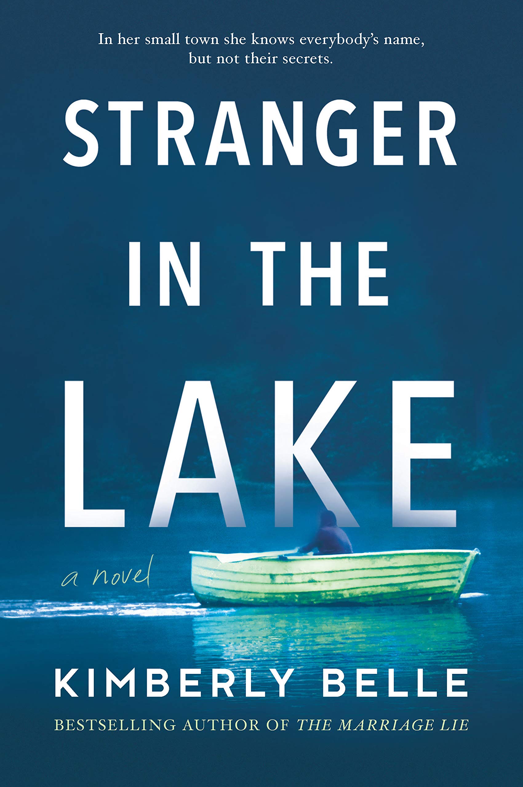 Buy Stranger in the Lake — BookShops.in