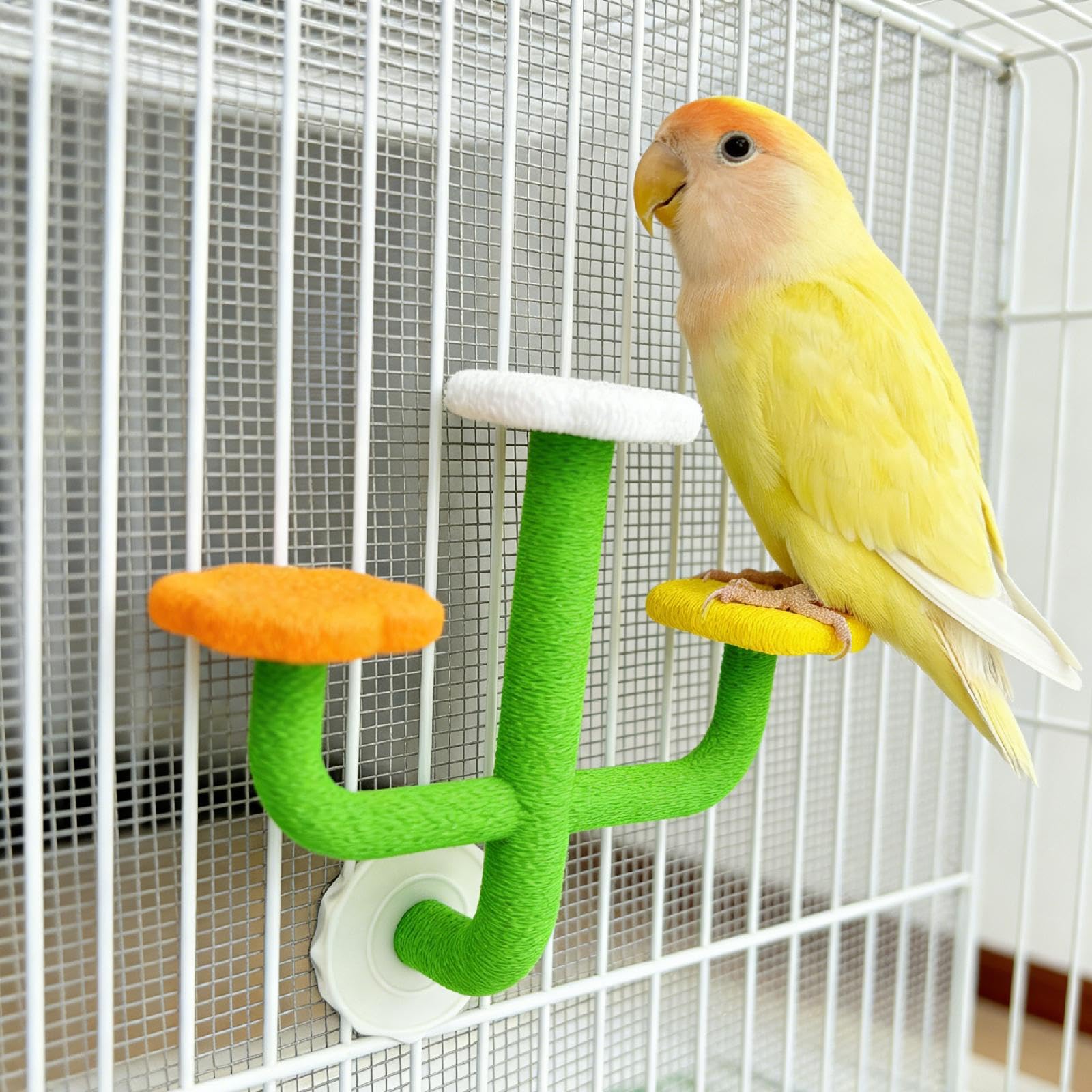 Amazon | Chosertory オウムの運動用噛みおもちゃ、鳥の止まり木