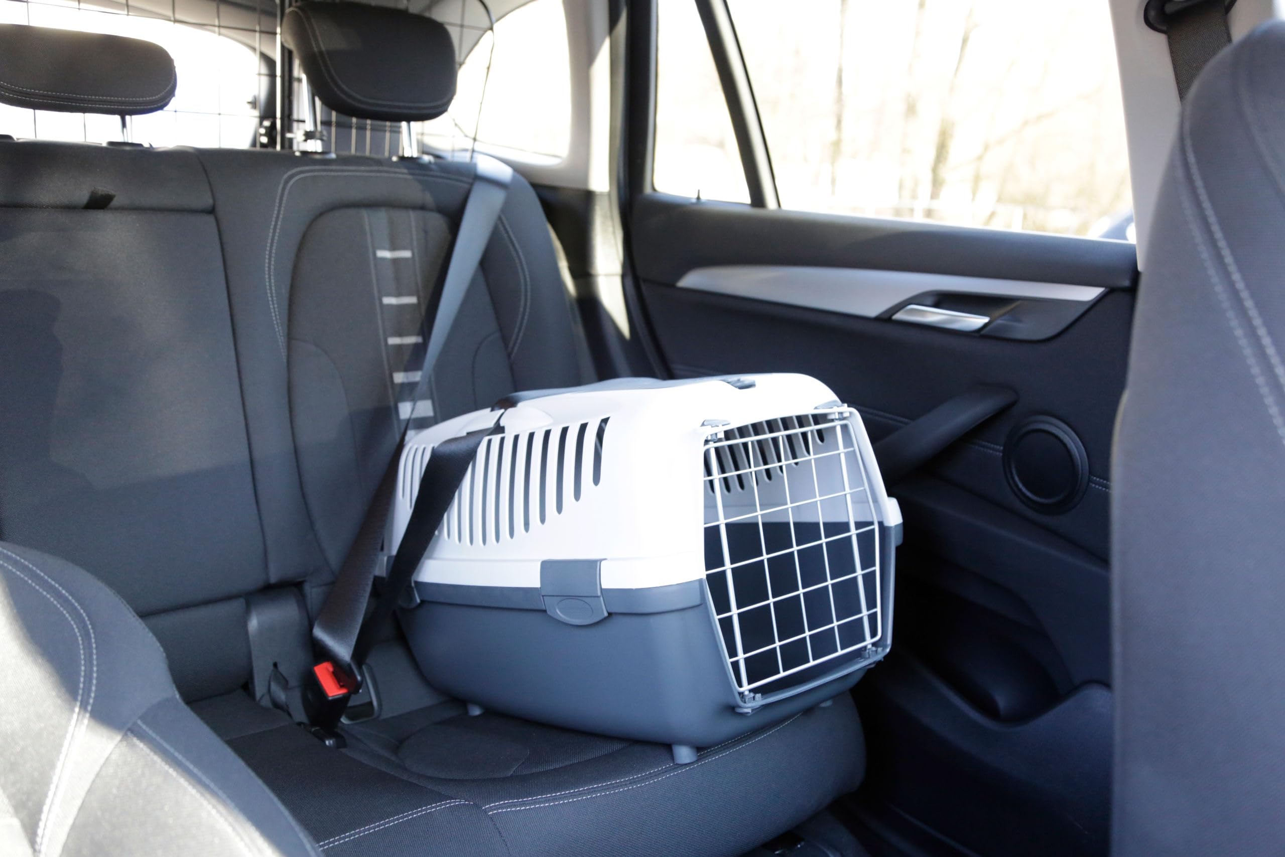 Kerbl Stefanplast Caja de Transporte Gulliver, Caja para Mascotas, Gris Claro, Gris Oscuro, 55x36x35cm, plástico, para Gatos y Perros, con Ranuras de ventilación