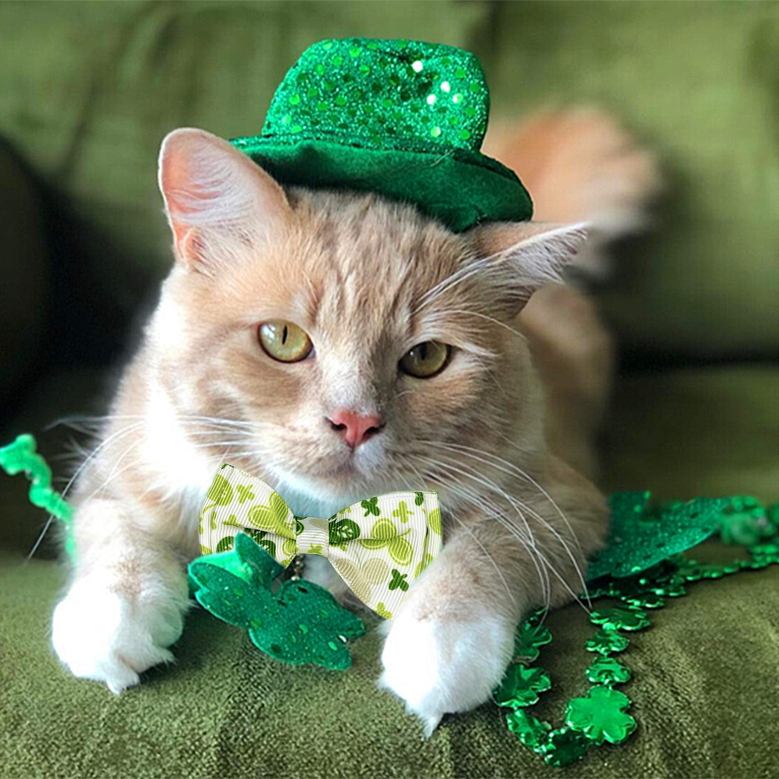 St. Patrick's Cat Halsband mit Fliege und Glöckchen, für Mädchen und Jungen, 2 Stück