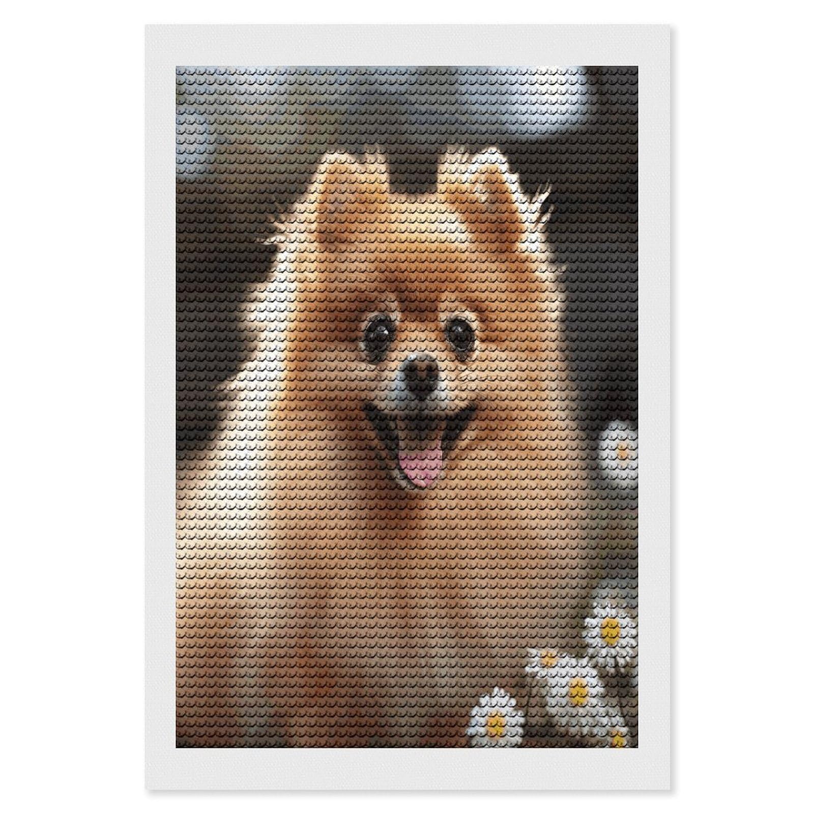 VstaDank Pomeranian Dog Diamond Painting Kits Exquisite DIY Full Round Drill Diamond Dots Painting for Adults Beginner Diamond Photo Paint with Diamond Picture Art Wall Decor 8"x12"