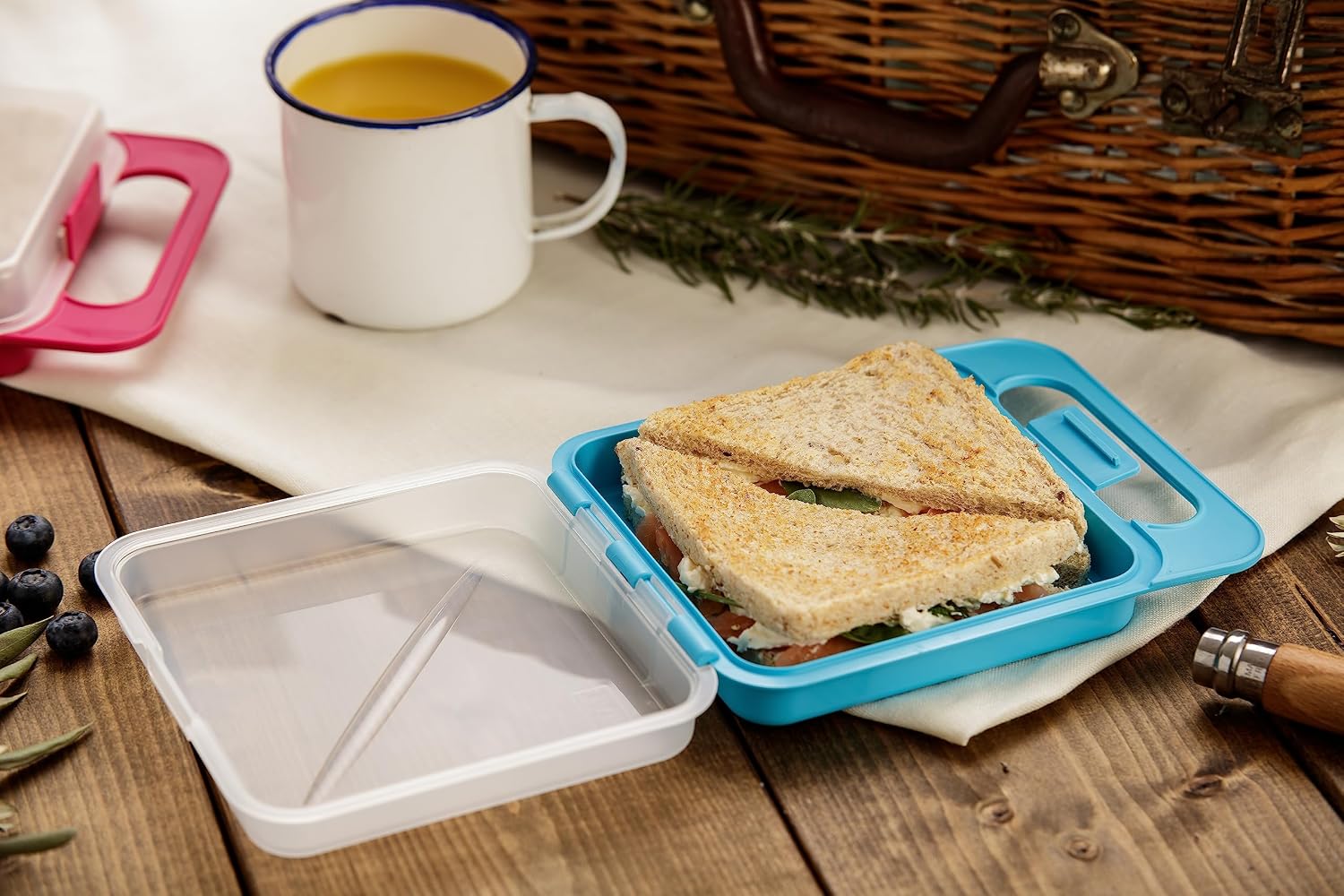 TATAY 1167100 Sandwich Holder Square Plastic 18 x 14 x 4.5 cm Blue