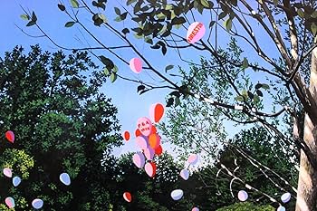 Amazon.co.jp: アートショップ フォームス ヒロ ヤマガタ「PGA