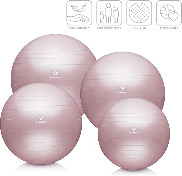 BODYMATE Ballon Fitness + Pompe Incluse + E-Book Gratuit - Différentes Tailles & Coloris - 2