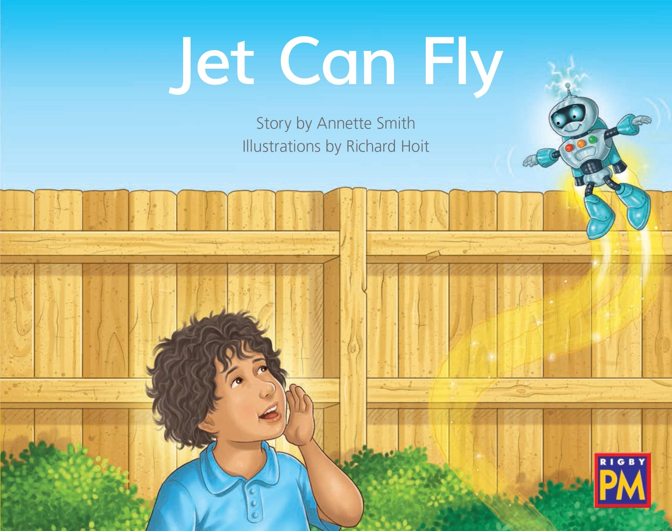 Jet Can Fly: Bookroom Package Yellow Fiction Level 6 Grade 1 (Rigby PM Collection)