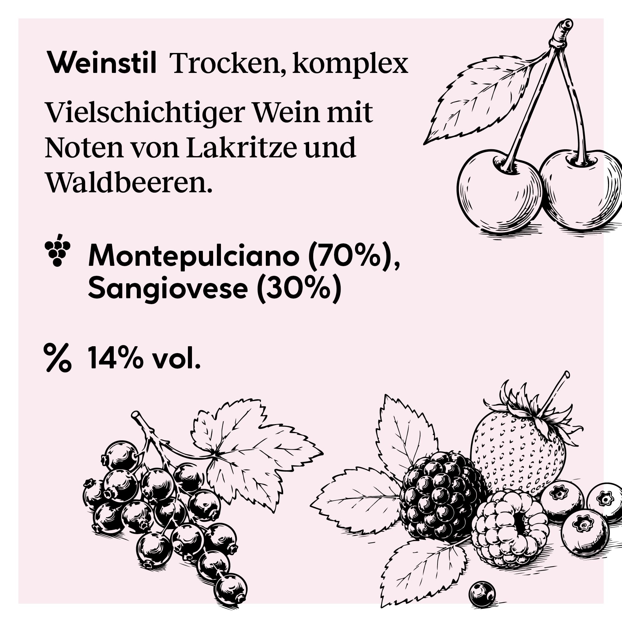 DELINAT Tao Piceno 2021 – Italienischer Bio-Rotwein trocken aus den Marchen | Premium Cuvée aus Montepulciano und Sangiovese - Veganer Qualitätswein aus Holzfass-Ausbau 6 x 0,75l