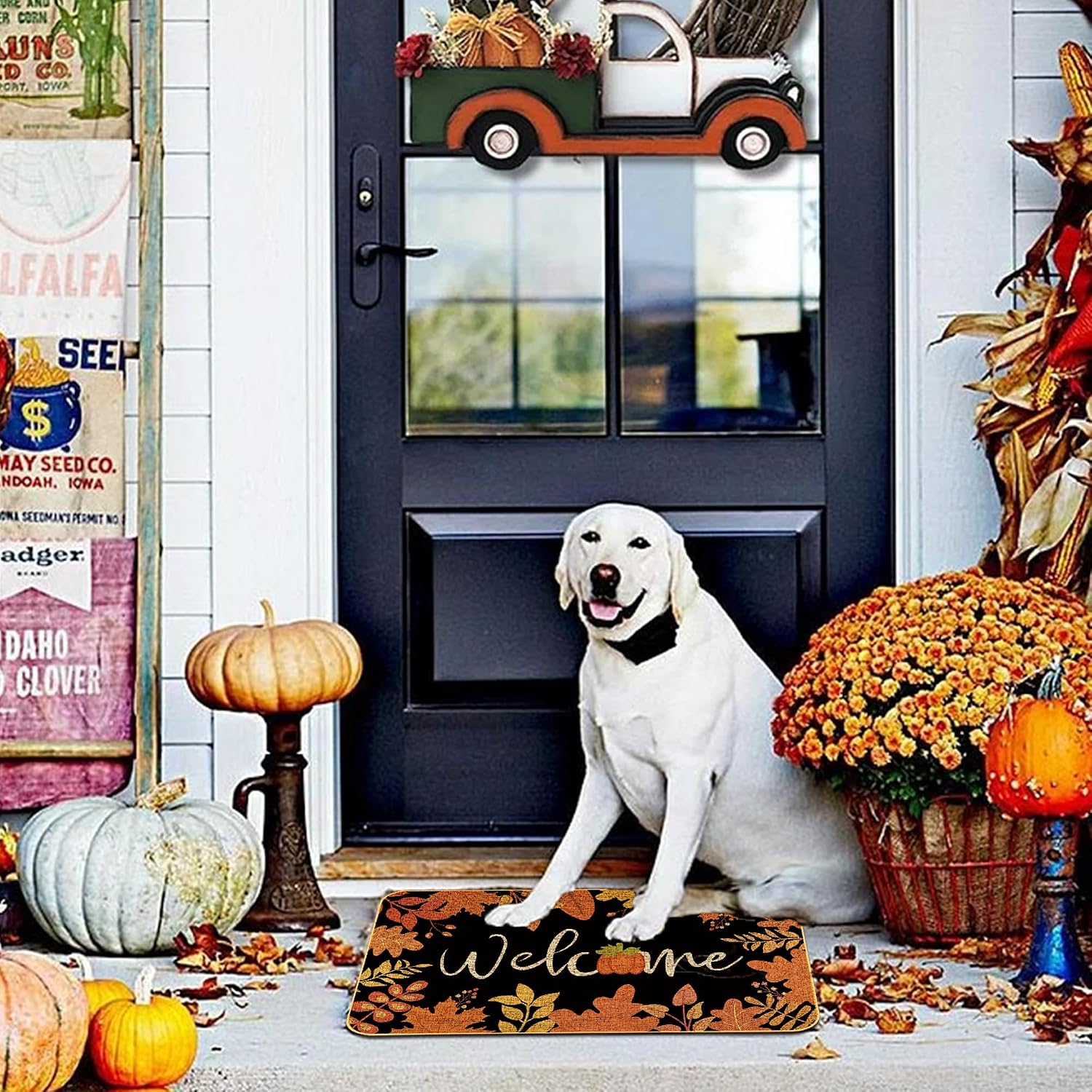 Fall Door Mat 29x17, Fall Welcome Mat with Maple Leaf, Non-Slip Doormat