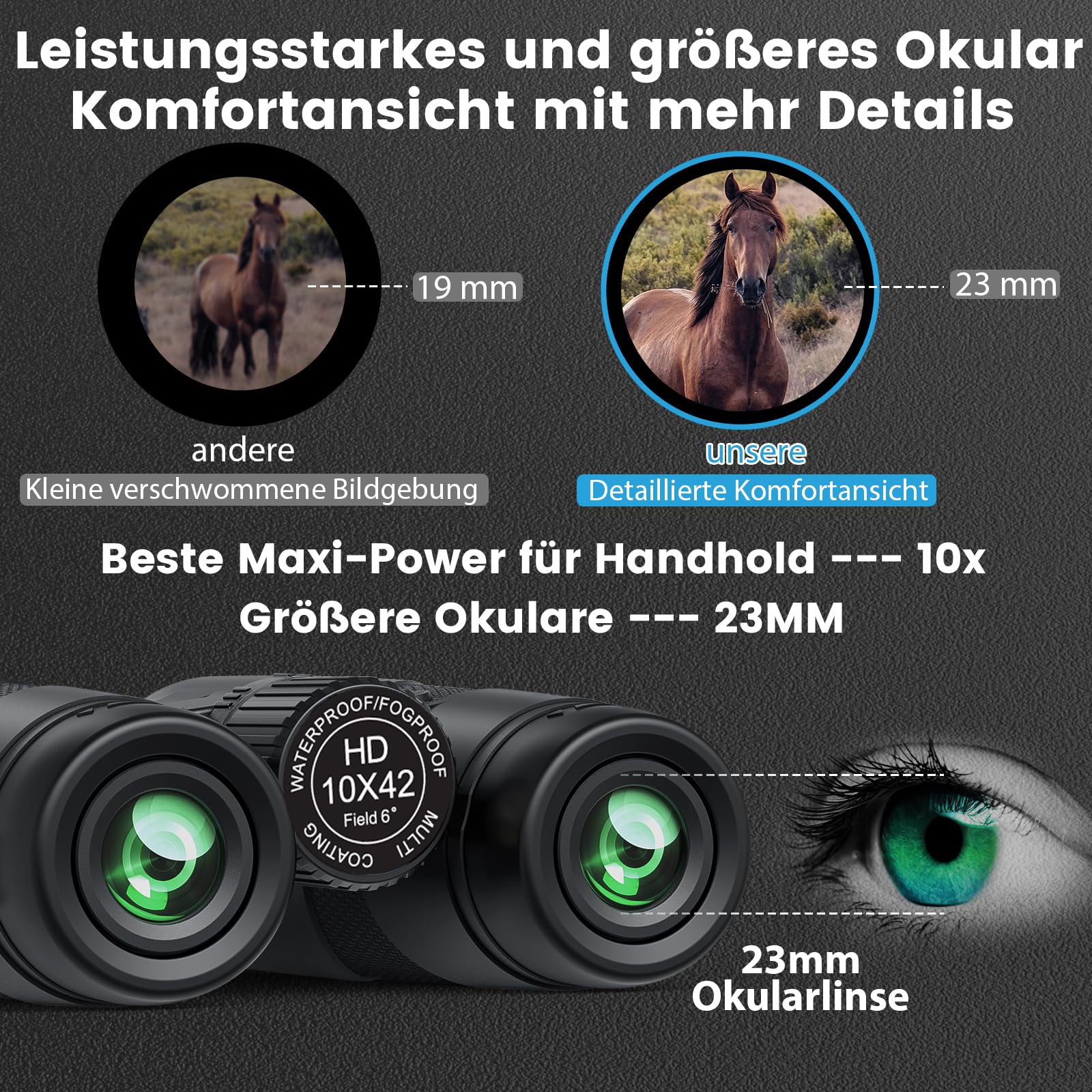 10x42 Fernglas Erwachsene Jagd Vogelbeobachtung: Timorn Ferngläser Wasserdicht mit Trageriemen, Tasche - Leicht Feldstecher für Naturbeobachtung, Tier, Reise, Sport, Konzerte