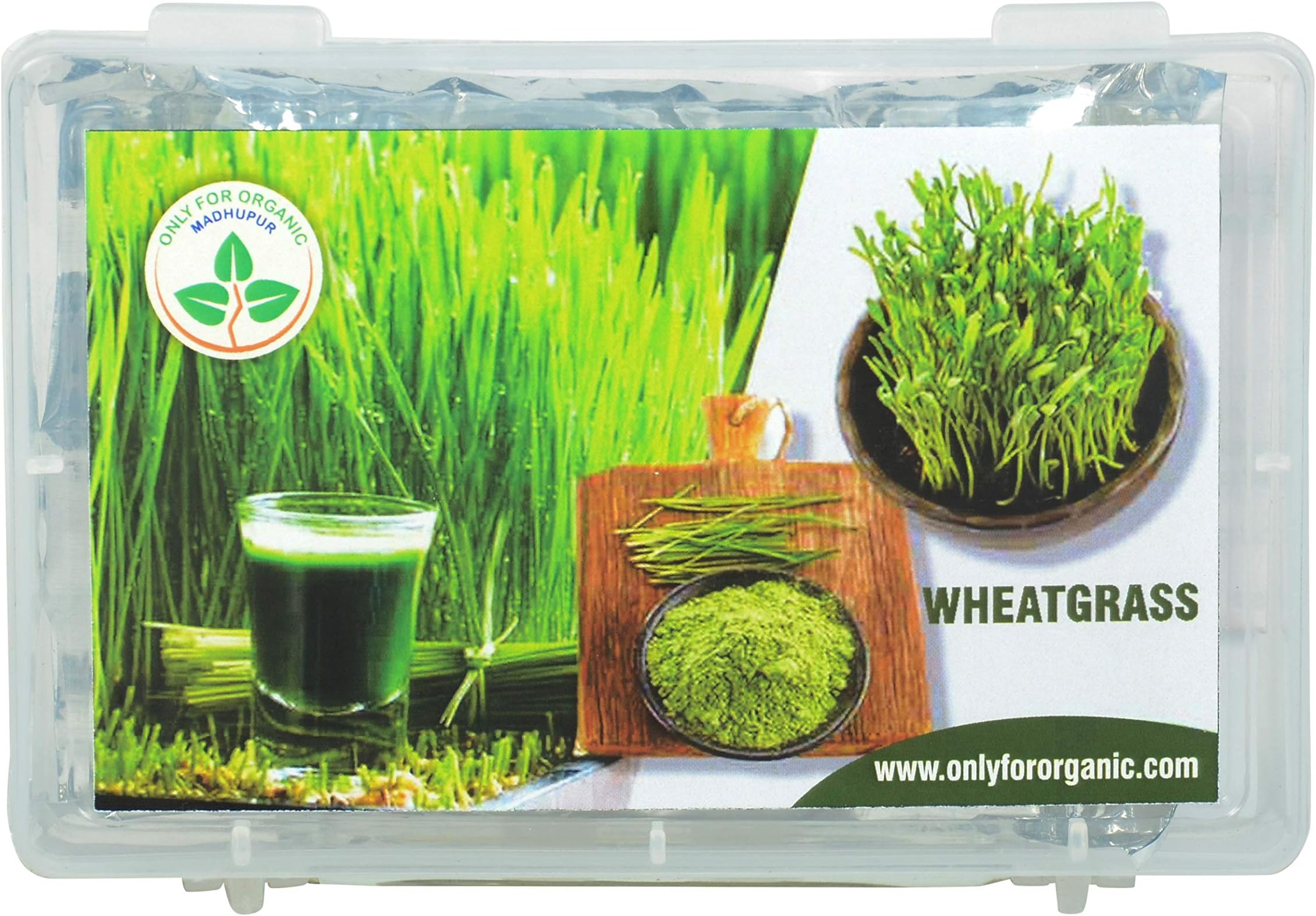 OFO ! Hybrid Wheat Grass Seeds : 1000 Seeds.