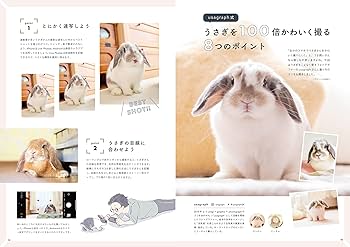 うさもち様限定 SNSで大人気！】もちもちしたうさぎの「もち」が初のぬいぐるみ化に