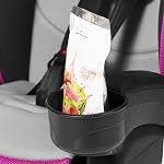 Evenflo 30712360C Chase Plus 2-In-1 Booster Car Seat (Geneva)