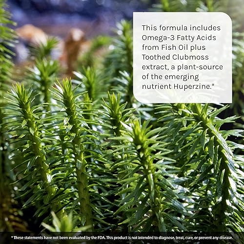 Miniatura 5 de Irwin Naturals Ginkgo Smart Potenciador cerebral nootrópico - Soporta la máxima memoria, enfoque y claridad mental con DMAE, Clubmoss, colina y