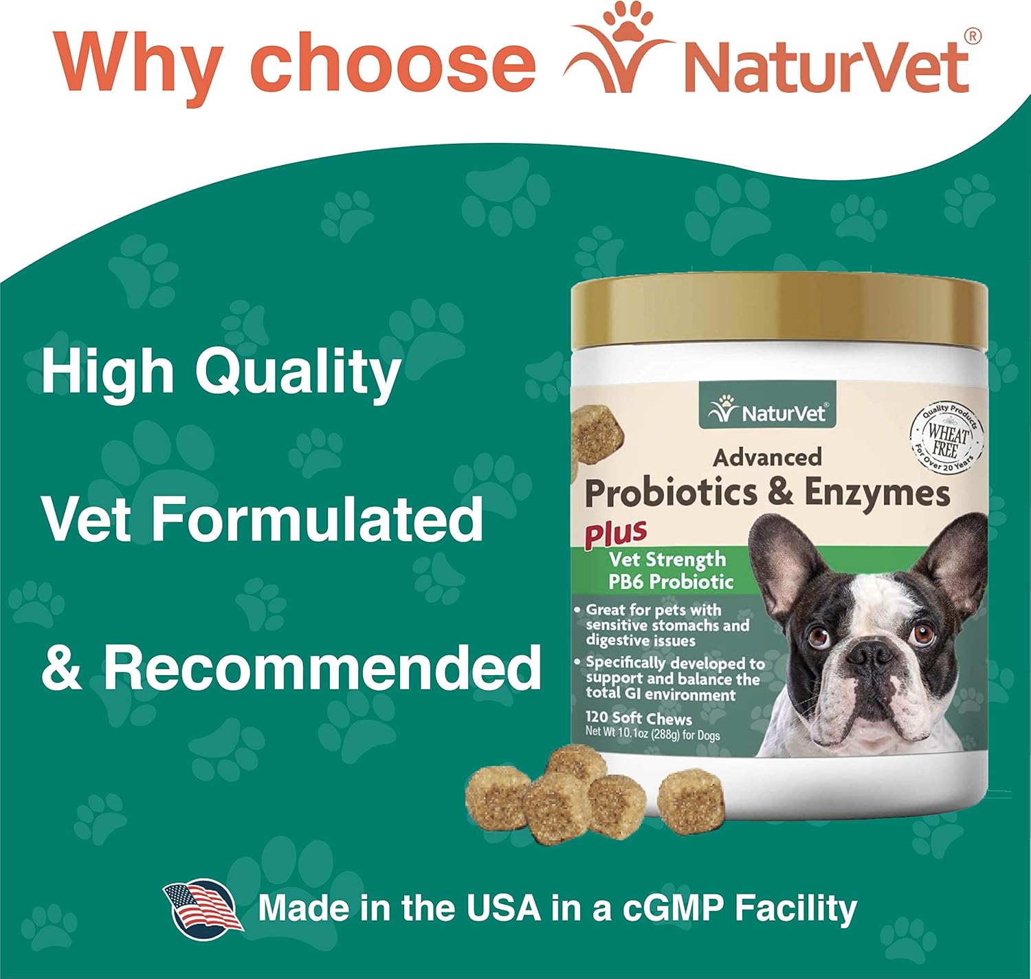 Veterinarian Strength Advanced Probiotics, Healthy Enzymes and PB6 Probiotic Supplement For Your Dogs Stomach, Intestine, Digestion and GI Tract health, Made by NaturVet, 120 Soft Chews : Pet Supplies
