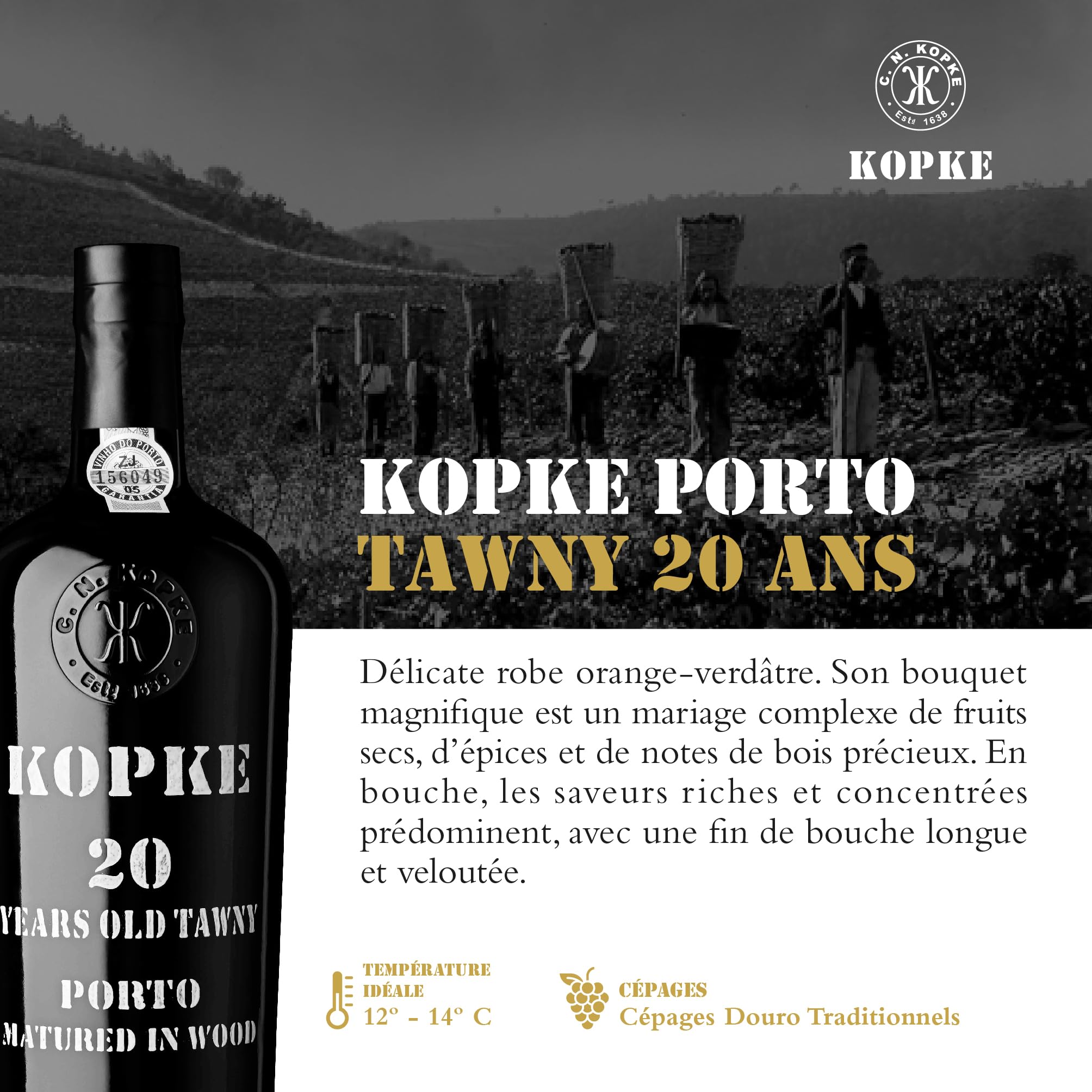 Kopke Porto Tawny 20 Ans – Vin de Porto Rouge Raffiné Vieilli en Fût de Chêne | Vin de Dessert Récompensé | Bouteille Élégante de 0,75L (20% Vol.) dans un Coffret Cadeau en Bois