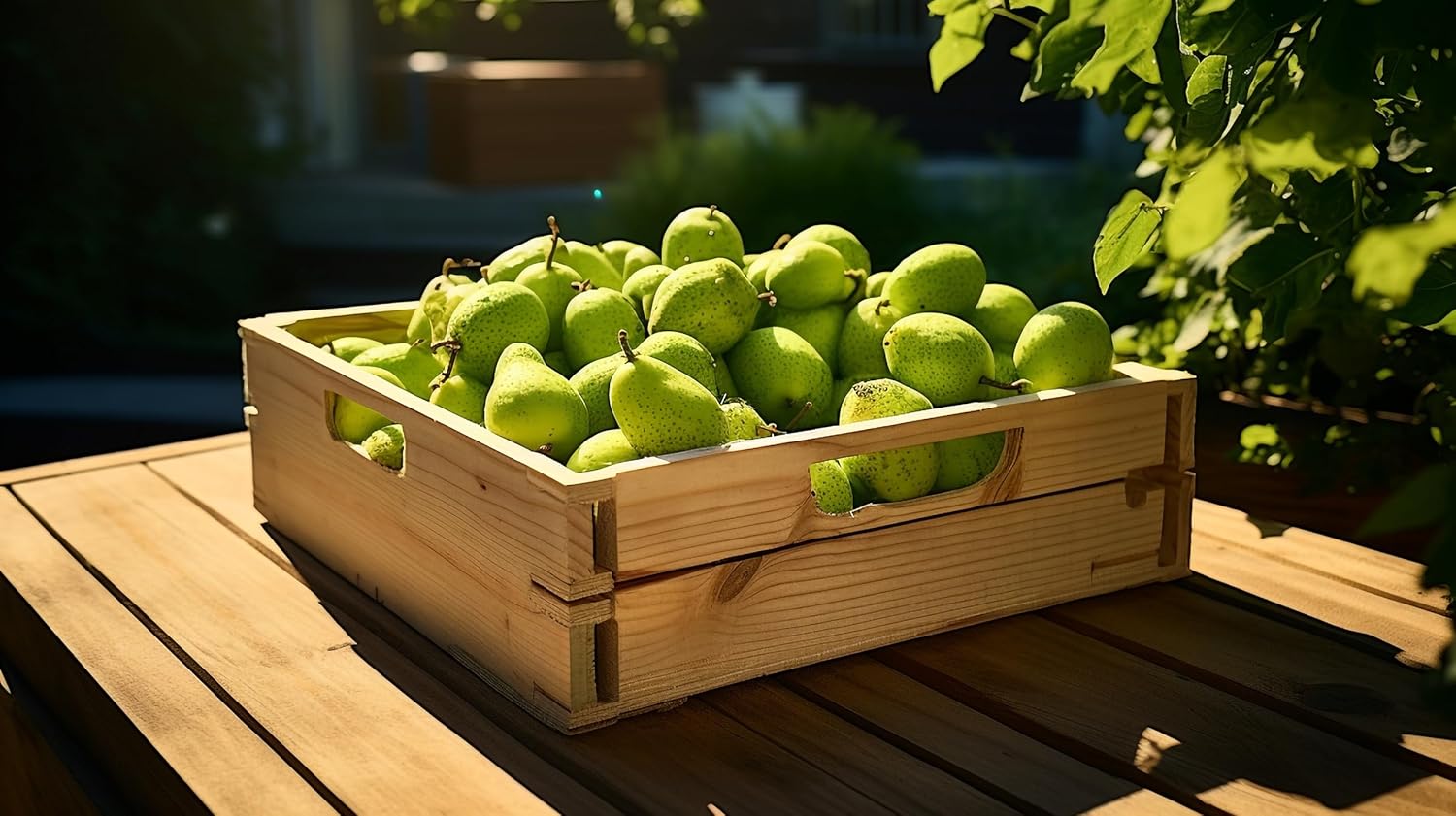 Fresh delicious D'anjou Pears by RawJoy Farms, 4 Pound