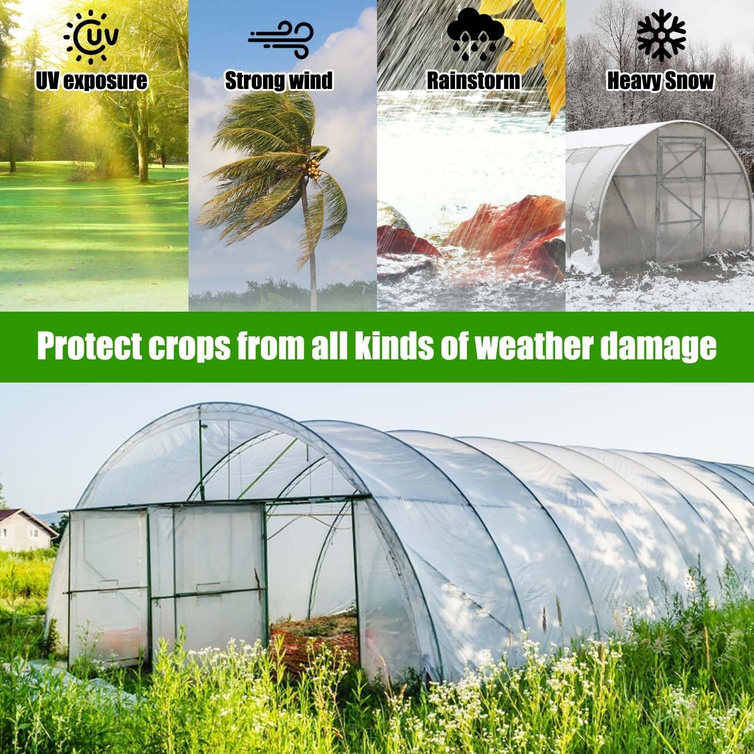 Plastico Invernadero, 2 x 10 Metros, Transparente, Reutilizable, Adecuado para Jardinería y Agricultura