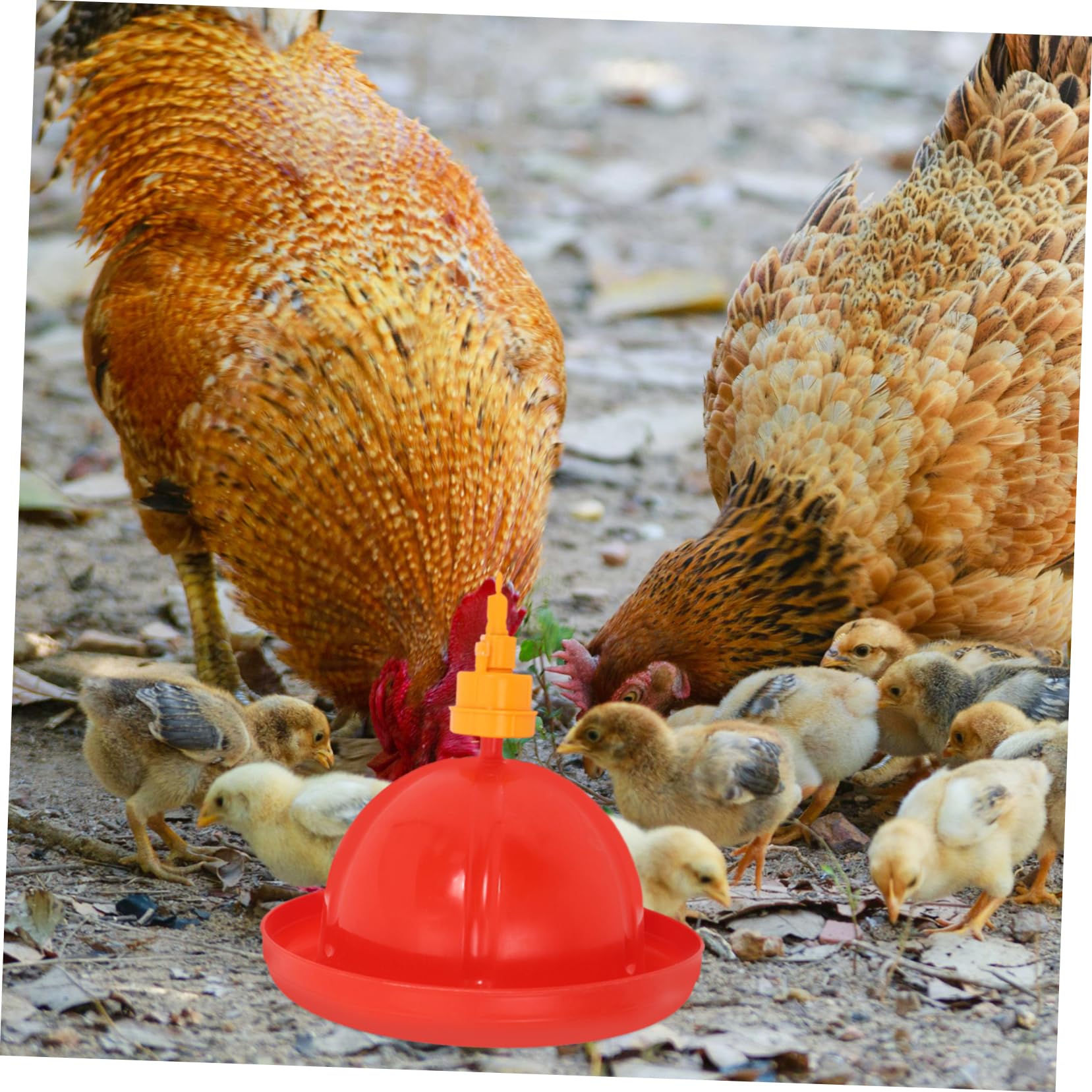 TOYANDONA Kit Automático de Bebederos y Comederos para Pollos y Gansos Agua Contenedor de Integrado y Fácil Instalación para Avicultura
