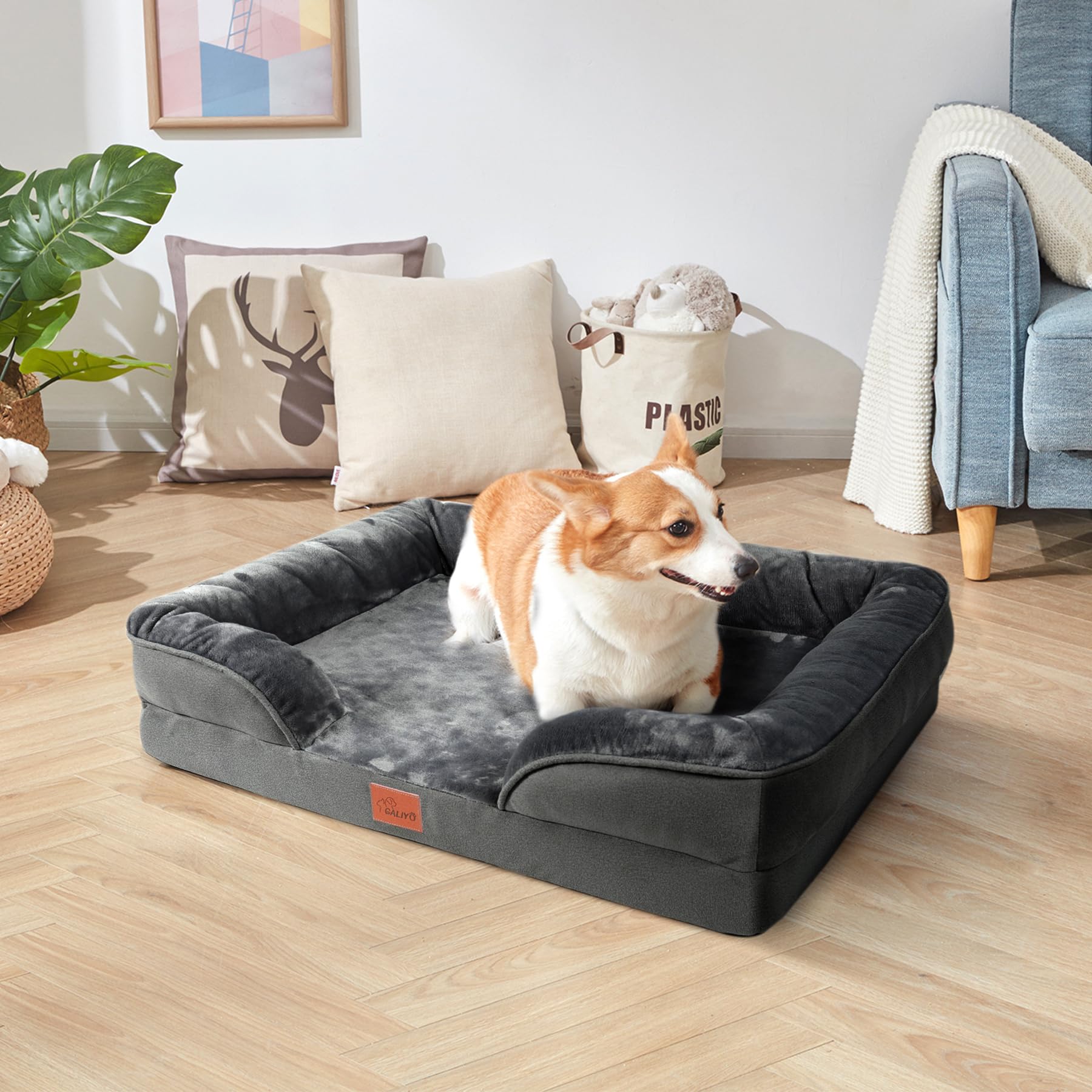 CALIYO Orthopädisches Hundebett für Kleine Hunde – 76×58×16 cm, Hundekissen aus umweltfreundlicher PP-Baumwolle, abnehmbar, waschbar, rutschfestes Hundesofa mit 3 Rändern（Dunkelgrau）