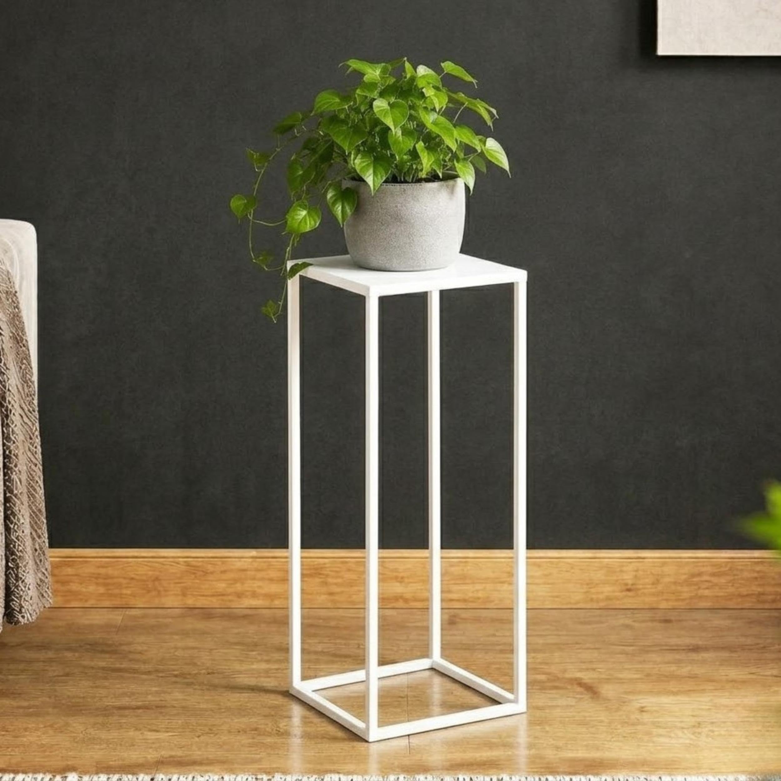 DanDiBo Blumenständer Metall Weiss Eckig 96482 M Pflanzenständer 60 cm Blumenhocker Beistelltisch Blumensäule Modern Pflanzenhocker (60 cm) Garten