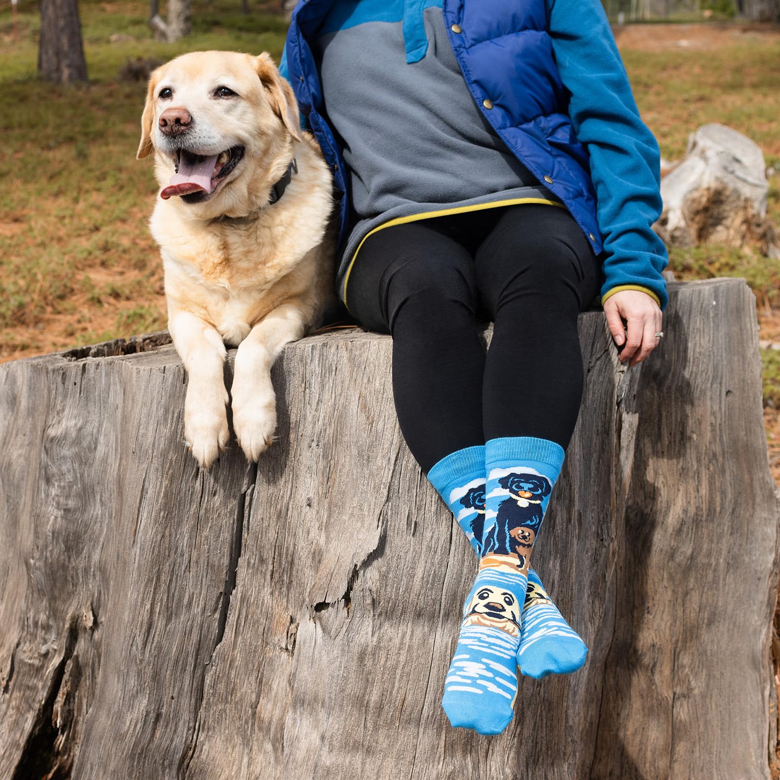 Lavley Dog Owner Socks - Funny Pet Gift Socks for Dog Moms and Dads - Great Gift for Dog Lovers, Birthdays, Daily Wear