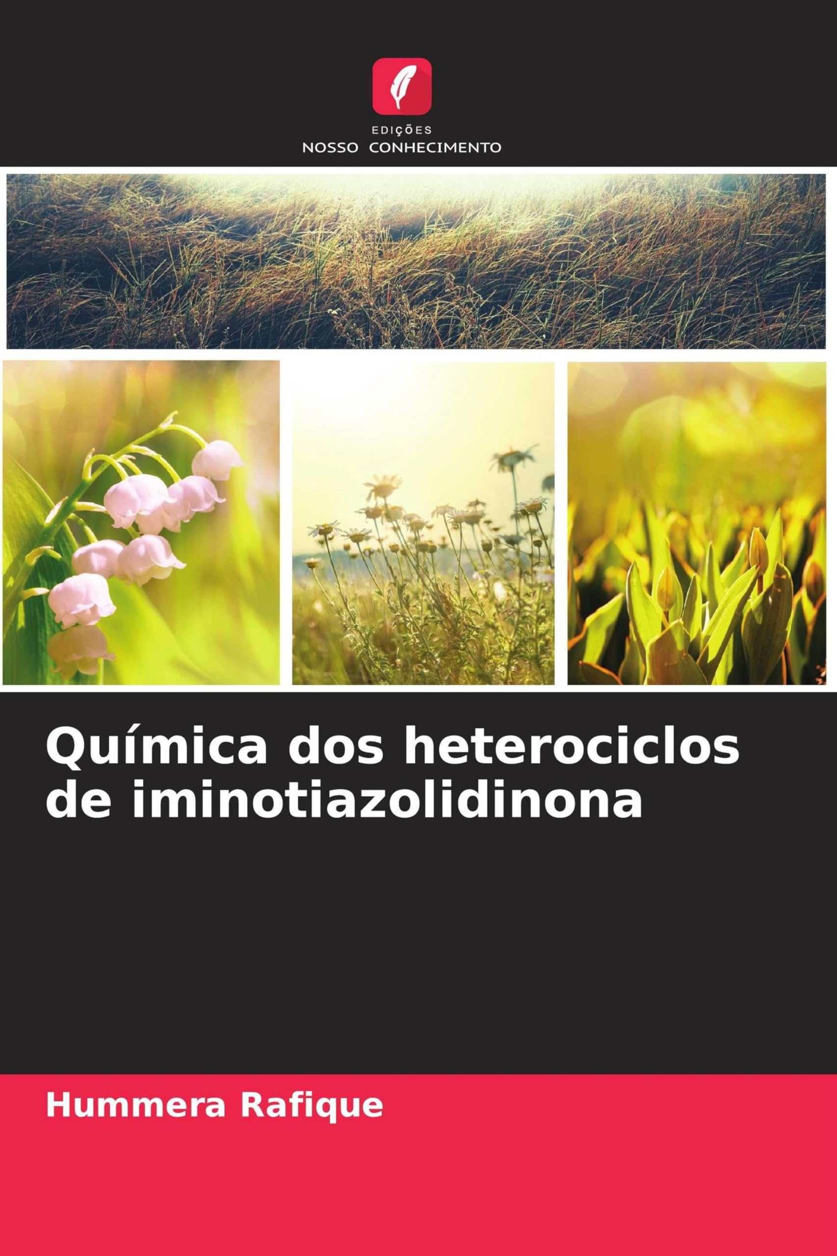 Química dos heterociclos de iminotiazolidinona