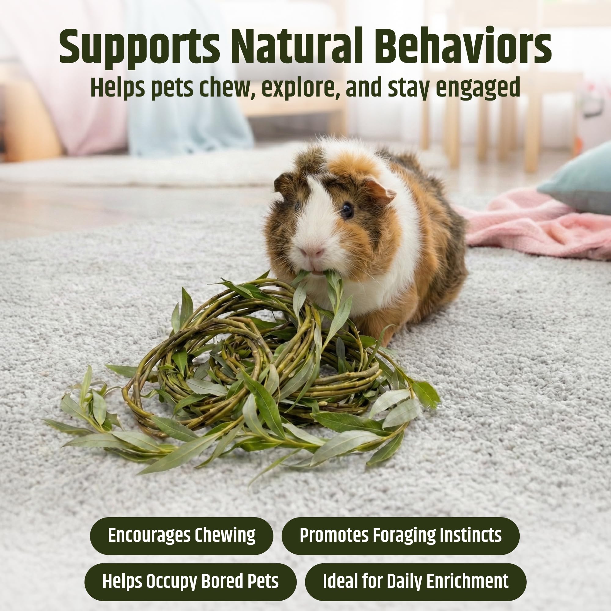High Desert Willow Chew Sticks for Rabbits Natural Willow Branch Treat for Bunnies Guinea Pigs Chinchillas Hamsters USA Grown Chews Small Pet Supplies for Digestive Health and Dailt Enrichmen product thumbnail 6