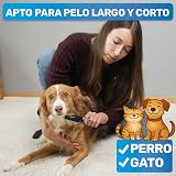 Ver la foto 4