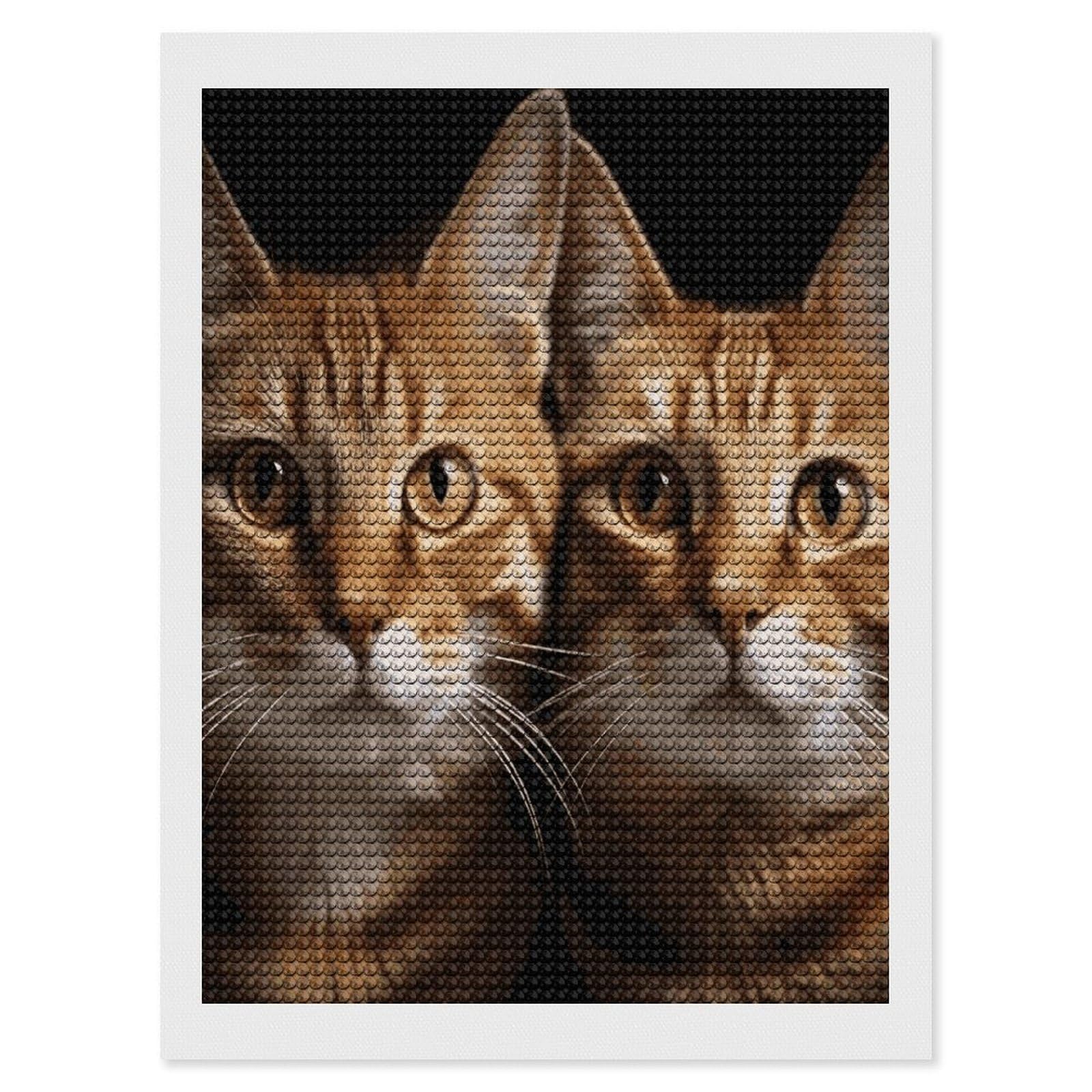 JTREHY Cats Diamond Art Kits Personalized DIY Round Diamond Painting Kits for Beginner Full Drill Diamonds Dots Paintings for Adults Gem Art Crafts Home Decor