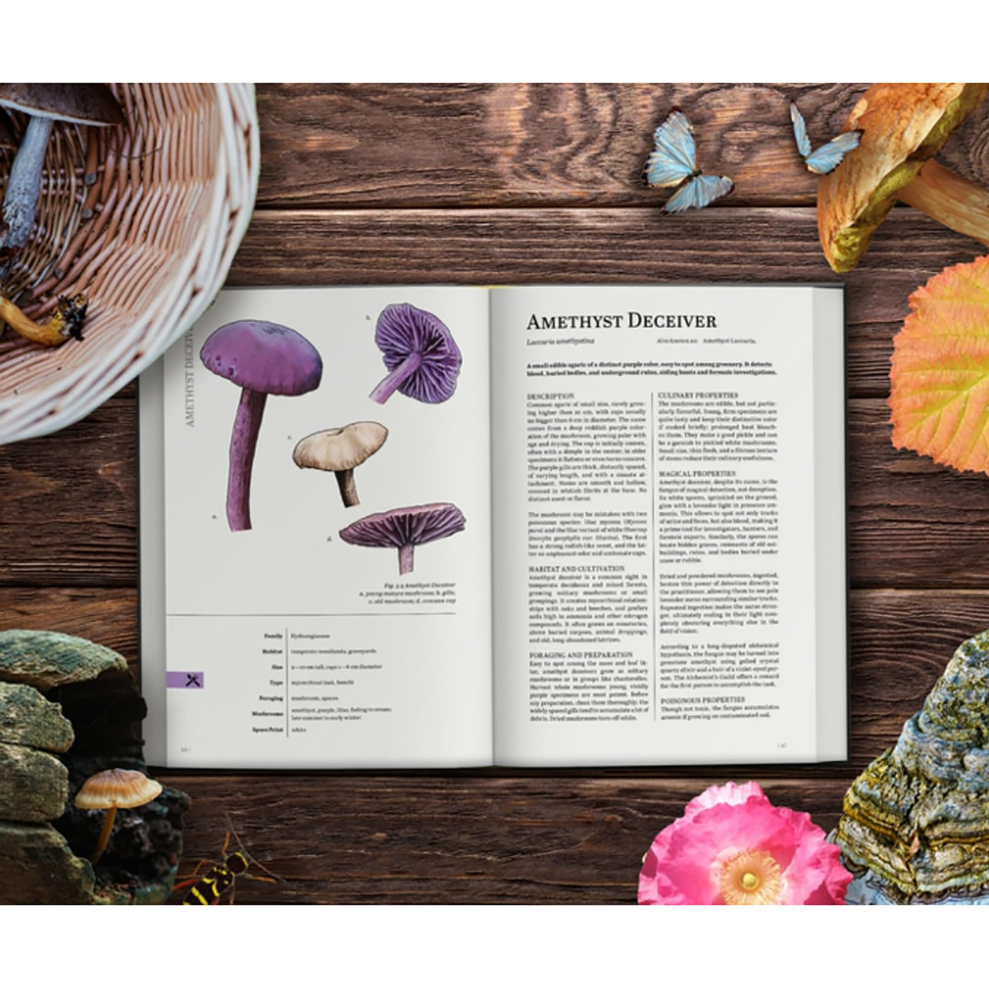 Renegade Games: Mycologist's Primer - Un sistema agnostico per qualsiasi sistema di gioco di ruolo, Libro a colori con copertina rigida, Mycology-Legends-Folklore, Giochi di ruolo da tavolo